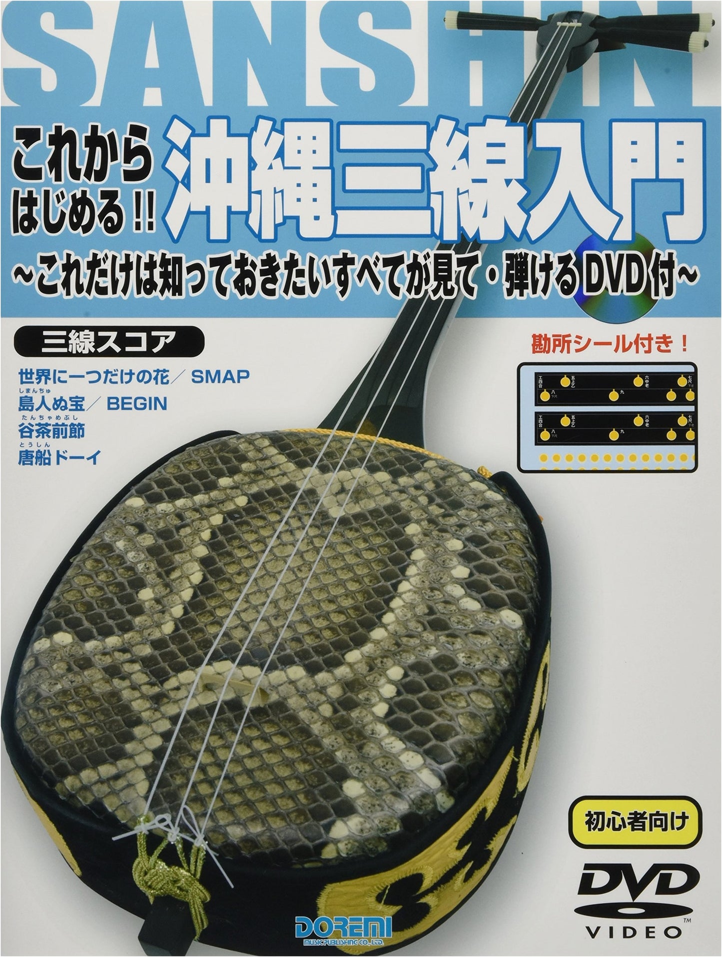 Learn Okinawa Sanshin: Complete Beginner's Guide with DVD