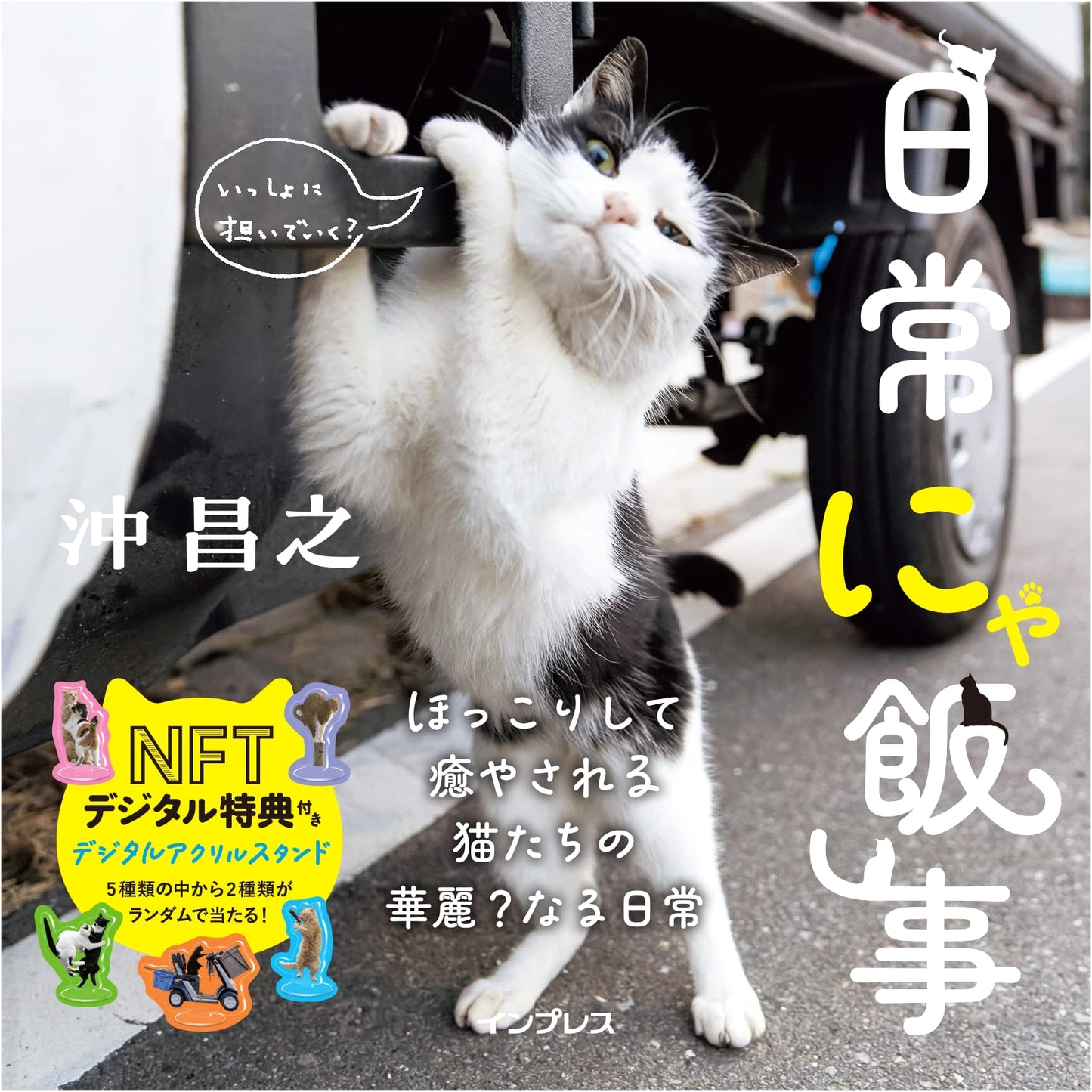 NICHIJOU NYA HAN GOTO: Everyday Cat Meals by Masayuki Oki