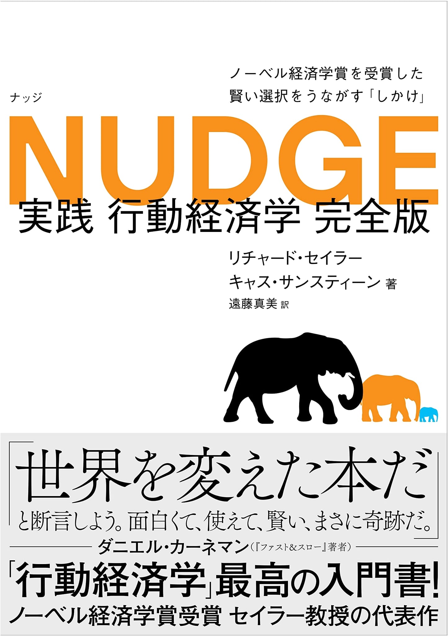 Nudge: Improving Decisions About Health, Wealth, and Happiness (Cass Sunstein)