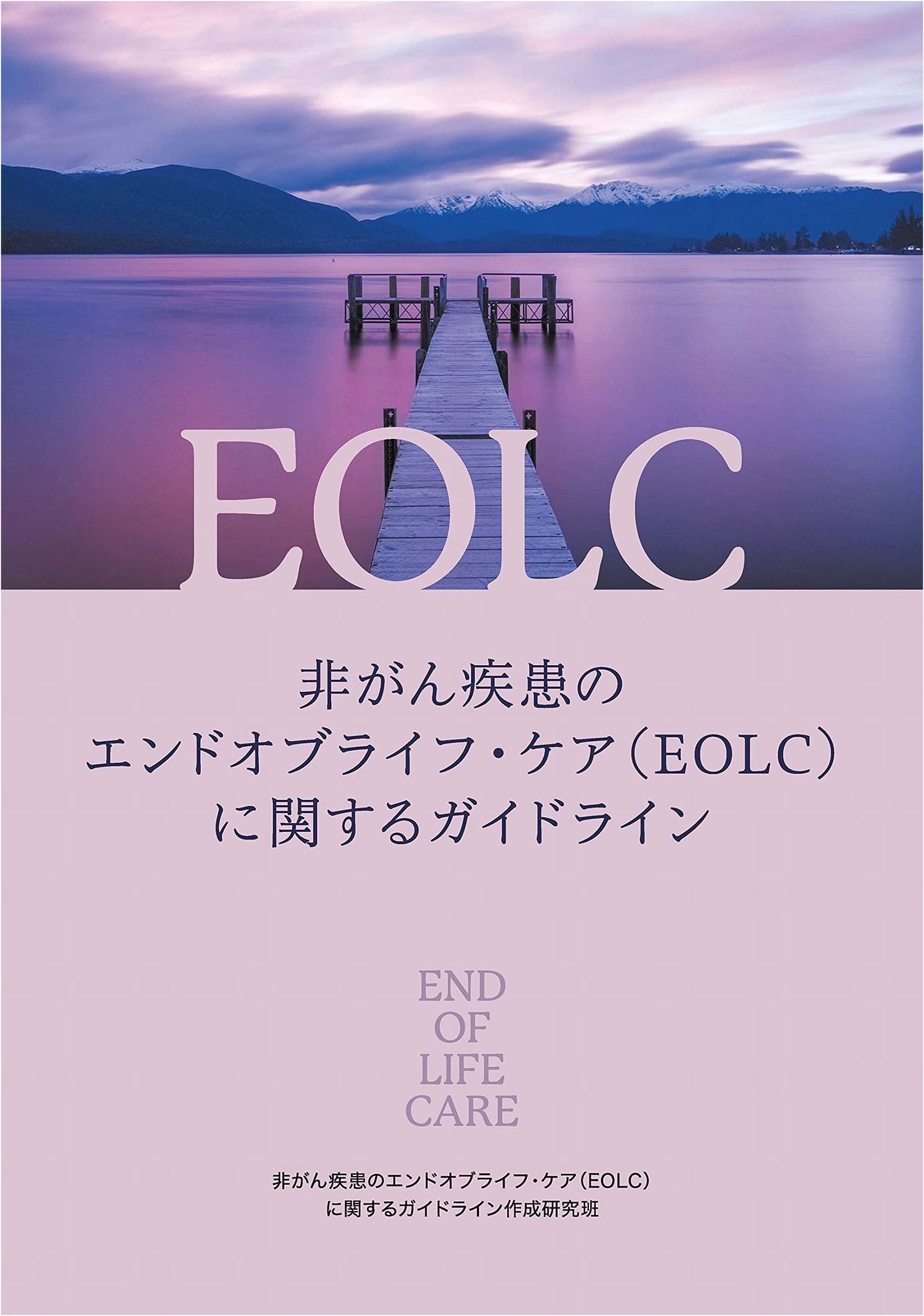End-of-Life Care Guidelines for Non-Cancer Diseases