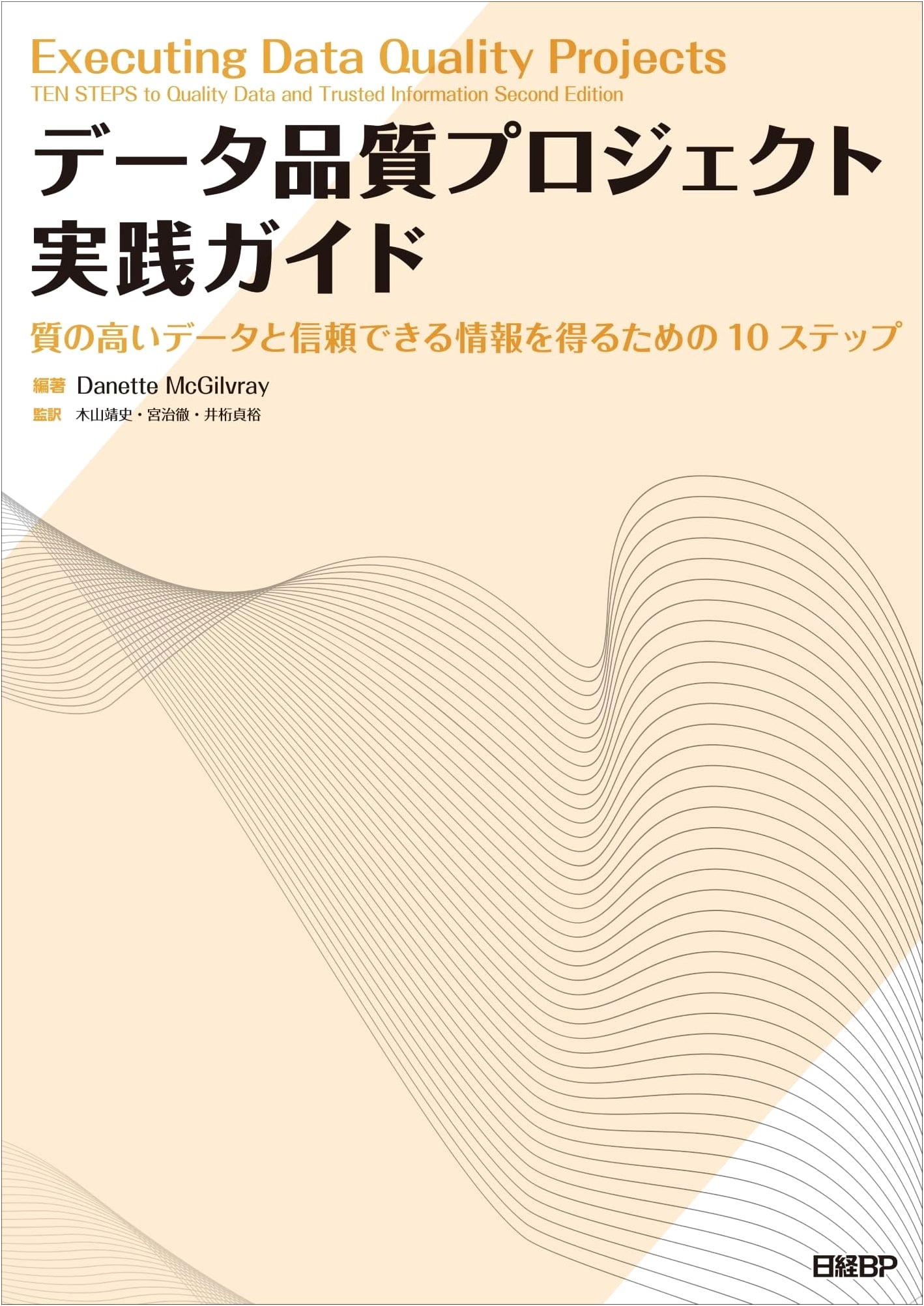 Practical Guide to Data Quality Projects