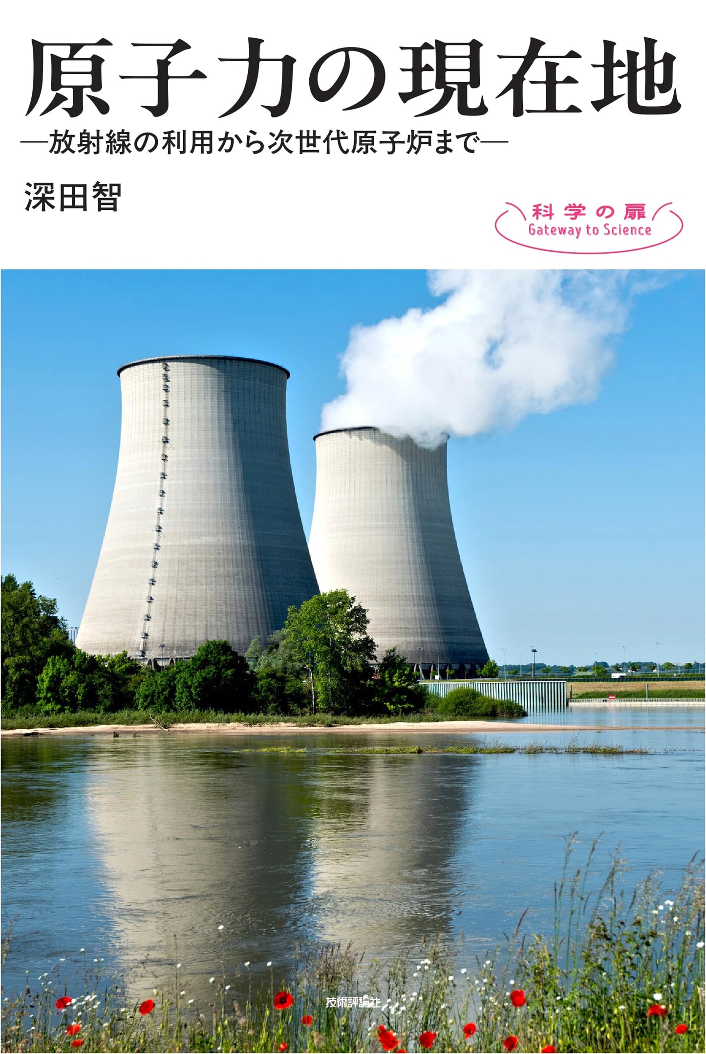 Nuclear Energy Today: From Radiation Use to Next-Generation Reactors (Science Door Series)