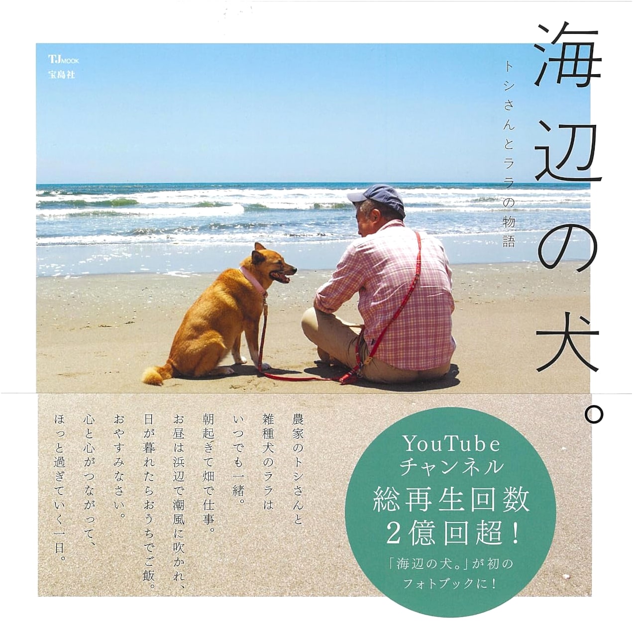 Seaside Dogs by Toshi