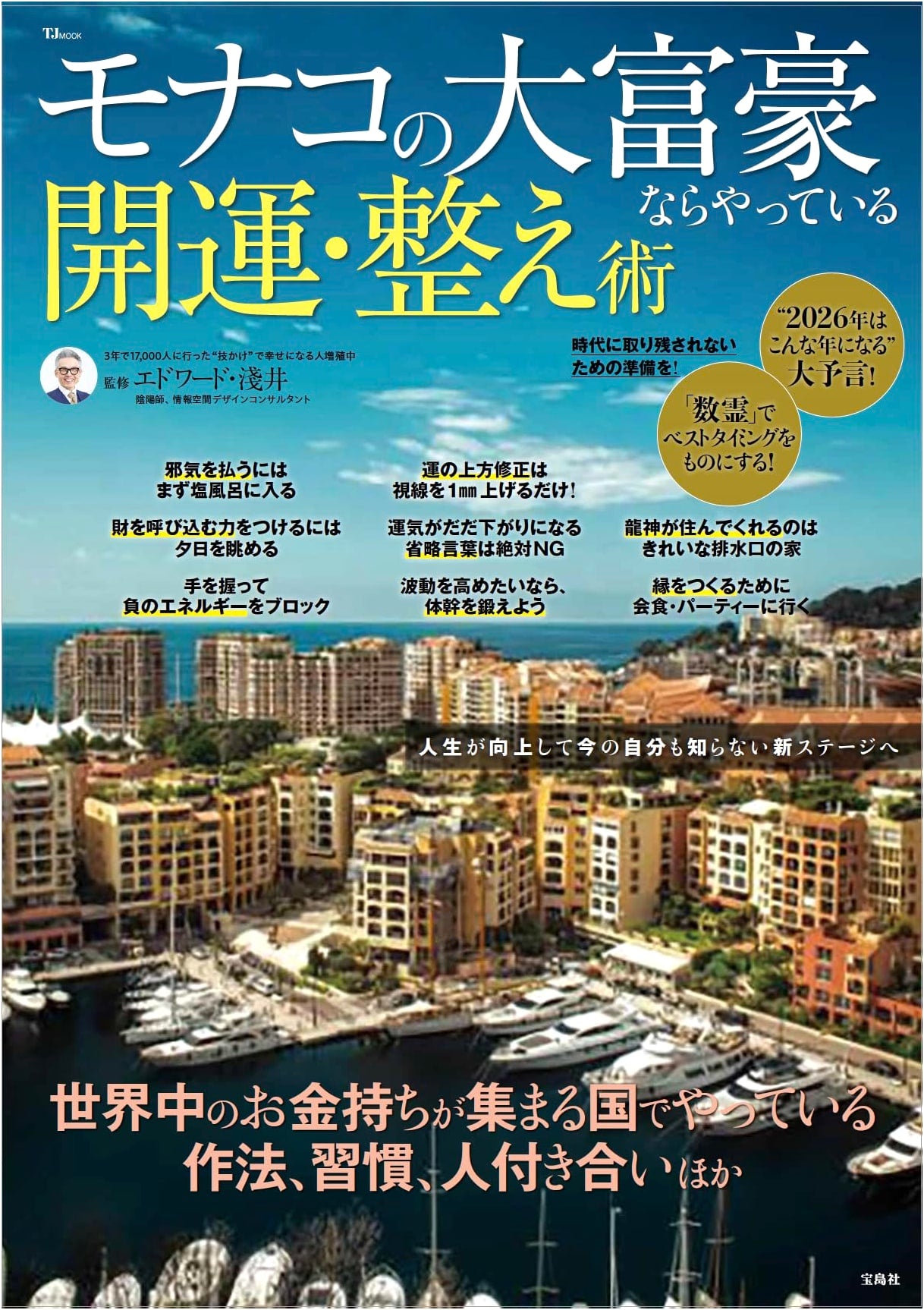 Monaco Millionaire's Guide to Good Fortune & Organization (TJMOOK)