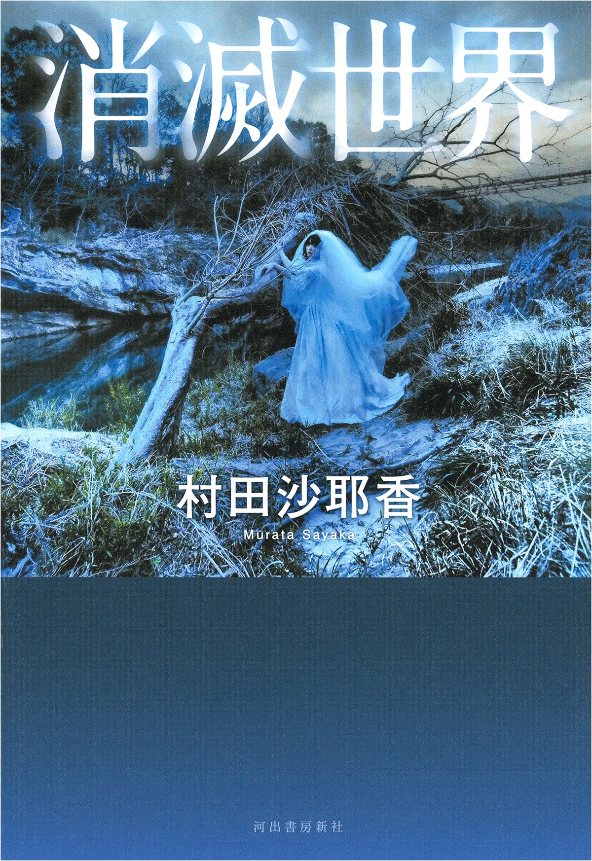 Vanishing World