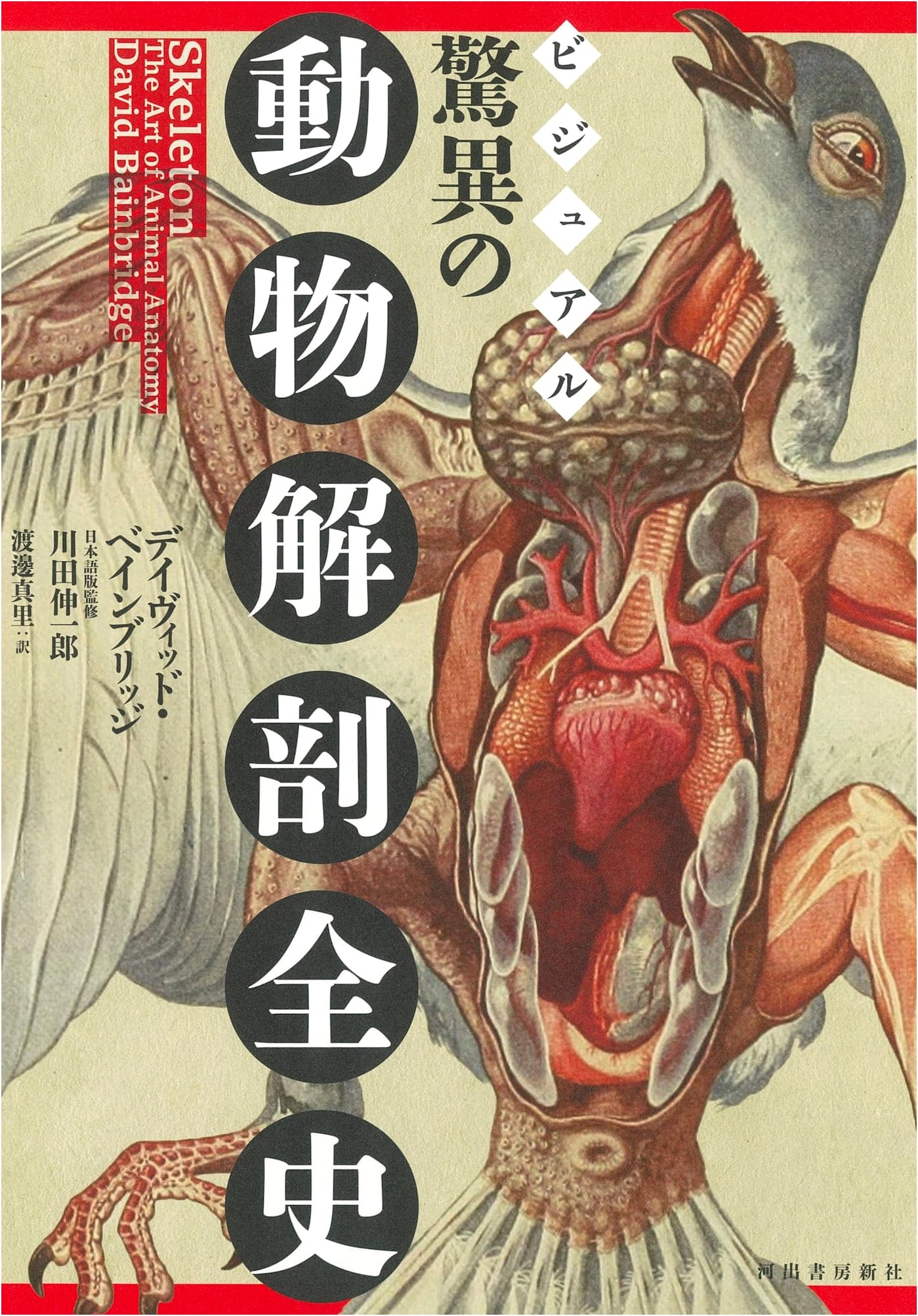 Visual Compendium of Animal Anatomy: A Complete History by David Bainbridge