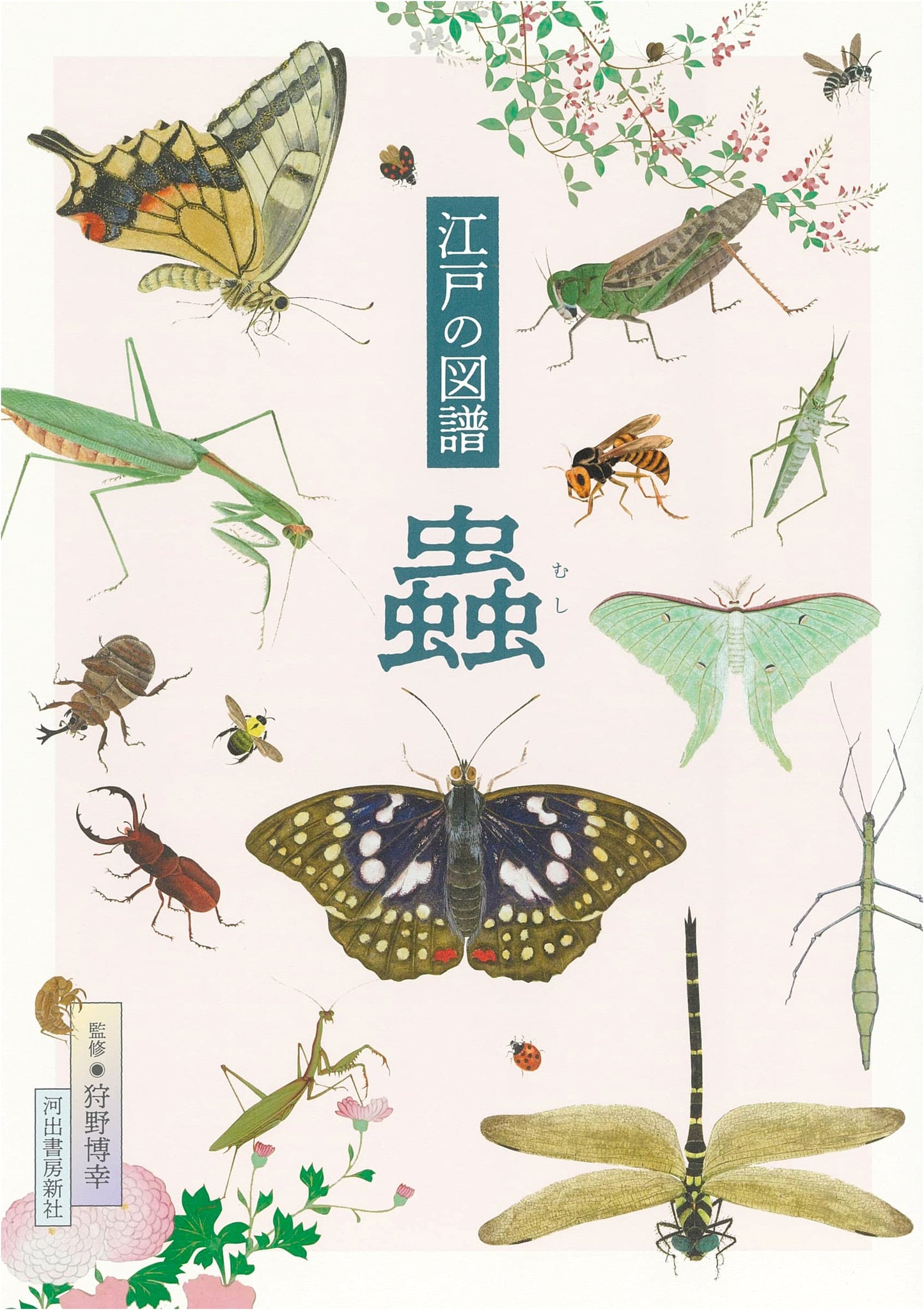 Illustrated Guide to Edo Insects