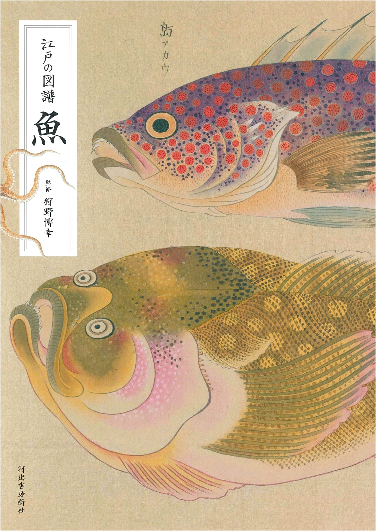 Edo Period Fish Illustrations: A Pictorial Compendium