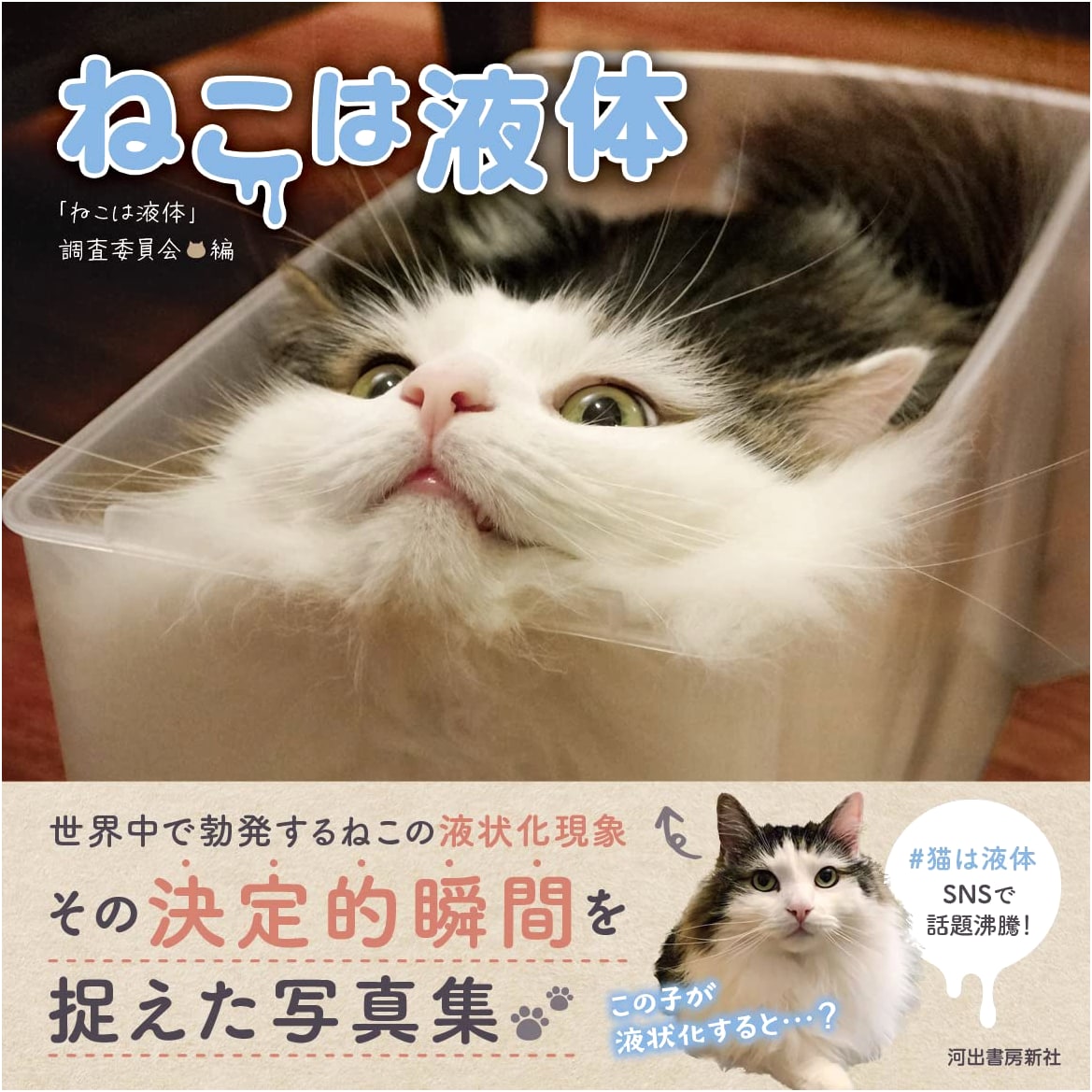 Cats Are Liquid