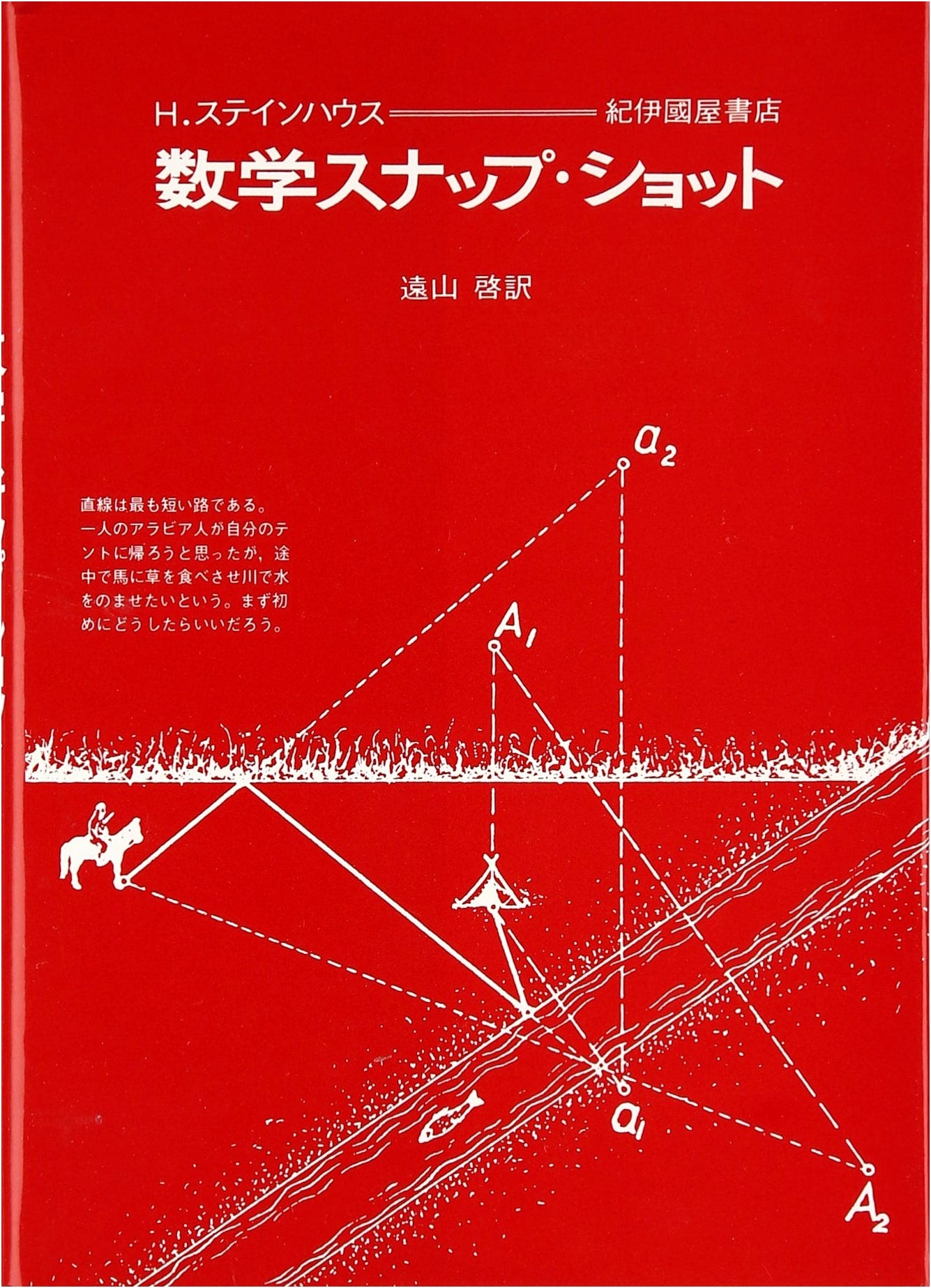 Mathematical Snapshots
