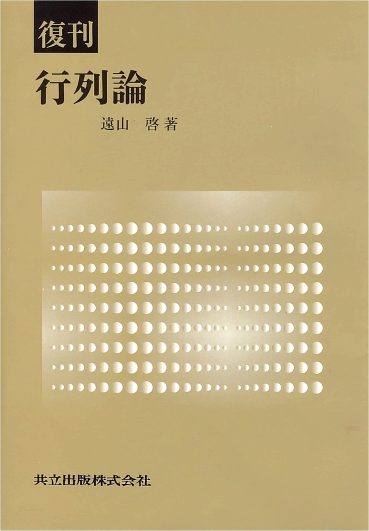 Reissue: Matrix Theory