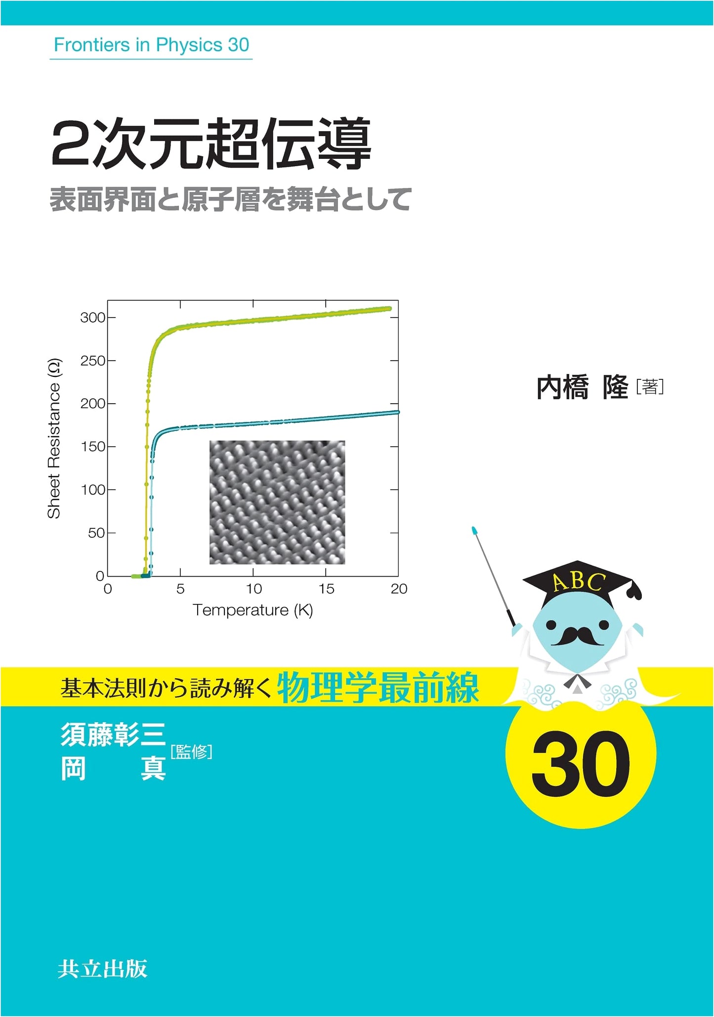 Two-Dimensional Superconductivity: Surface Interfaces & Atomic Layers (Physics Frontier 30)