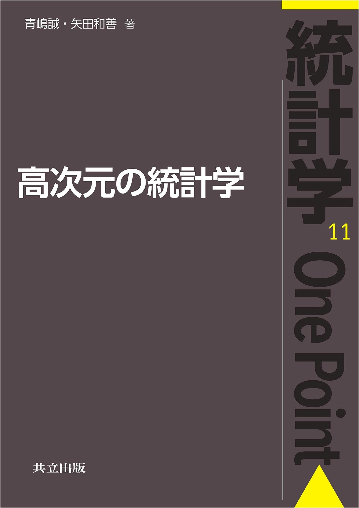 High-Dimensional Statistics (Statistics One Point Series 11)