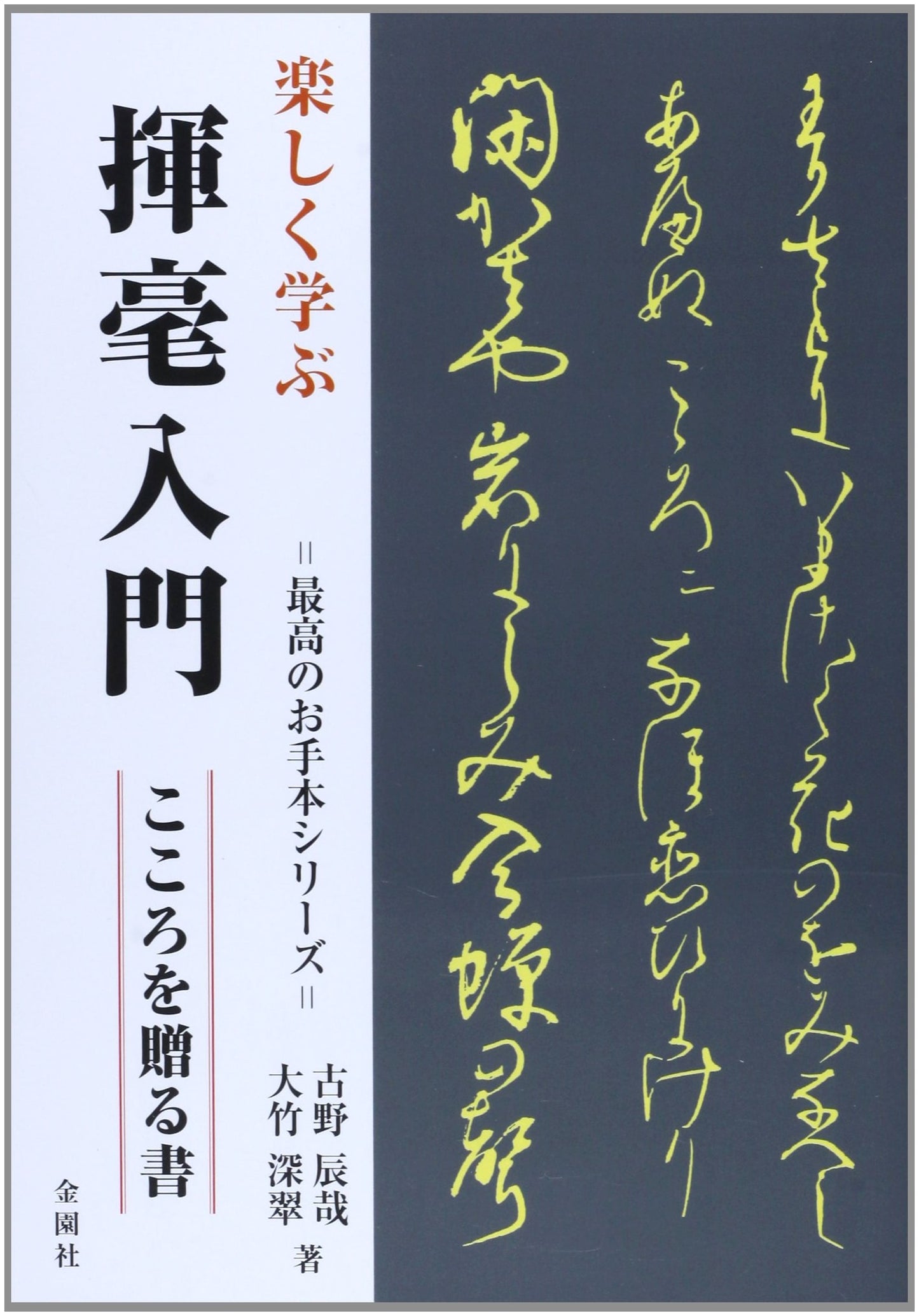 Fun Learning Calligraphy: Express Your Heart with Brushstrokes (Best Practice Series)