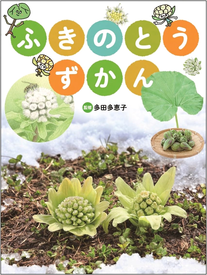 Fukinoto Zukan: Butterbur Sprout Picture Book