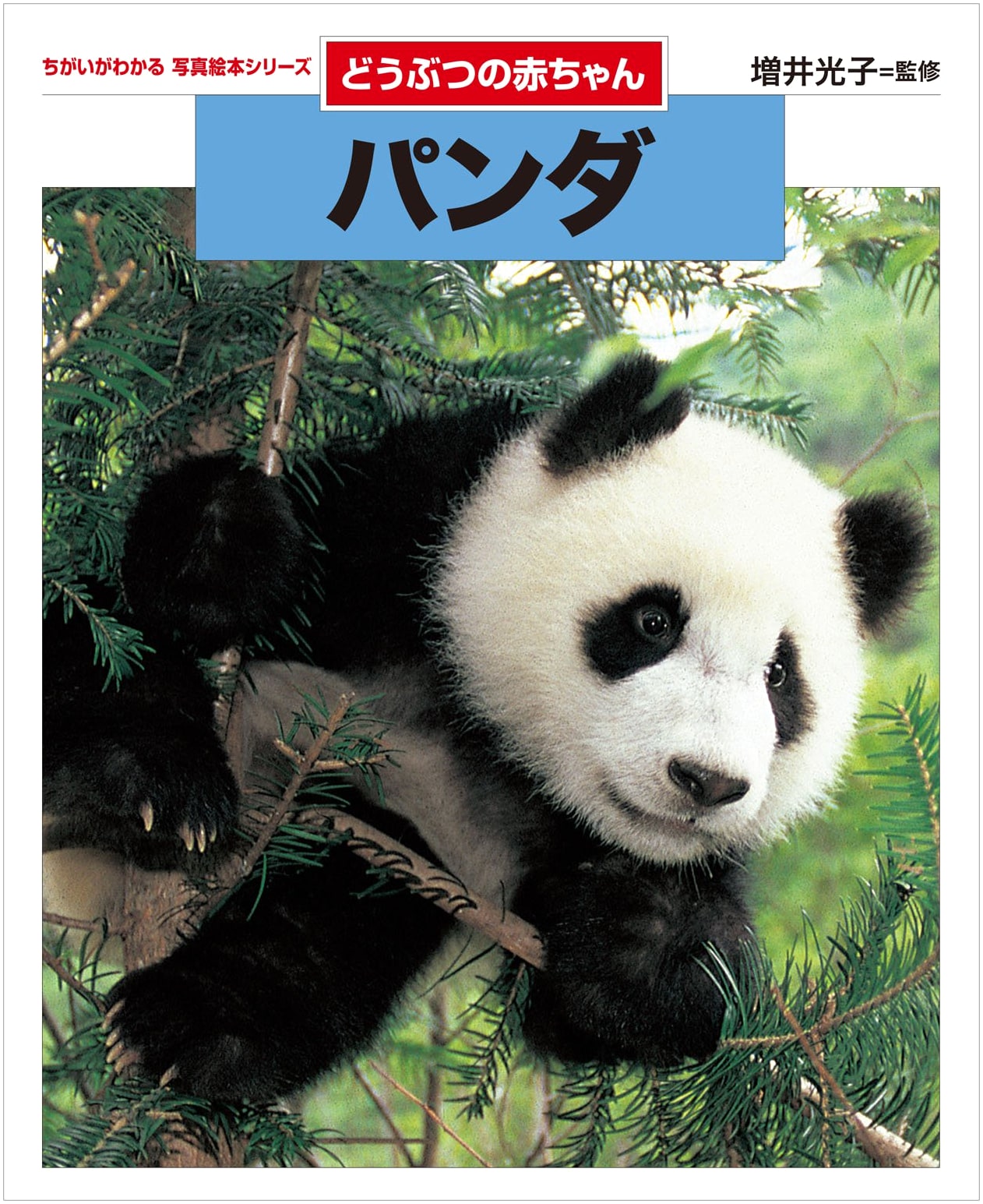 Panda (Baby Animals) - Popular Edition