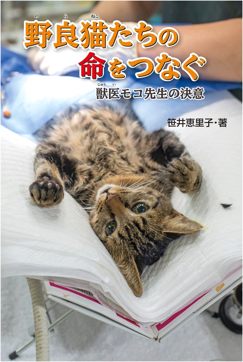Connecting the Lives of Stray Cats: The Determination of Veterinarian Moko-sensei