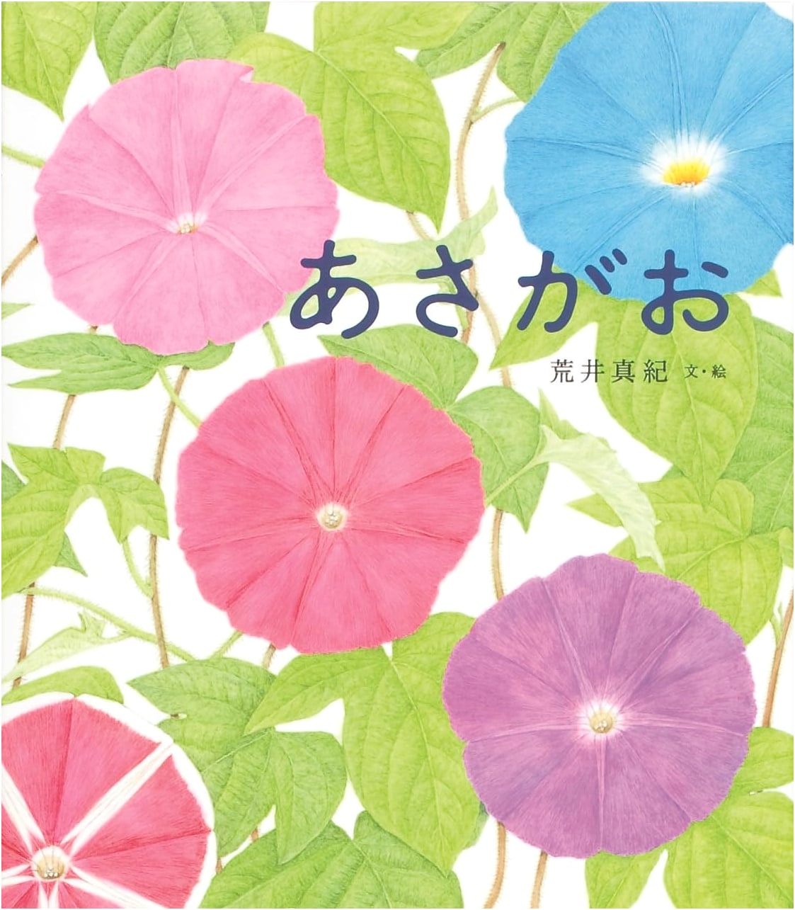Morning Glory (Maki Arai's Flower Picture Book)