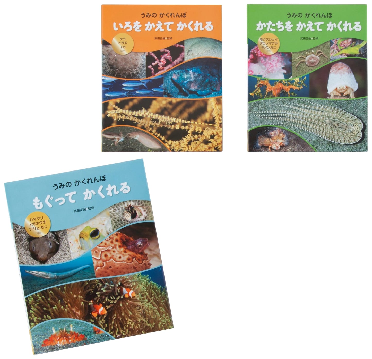 Sea Hide-and-Seek (Complete 3-Volume Set)