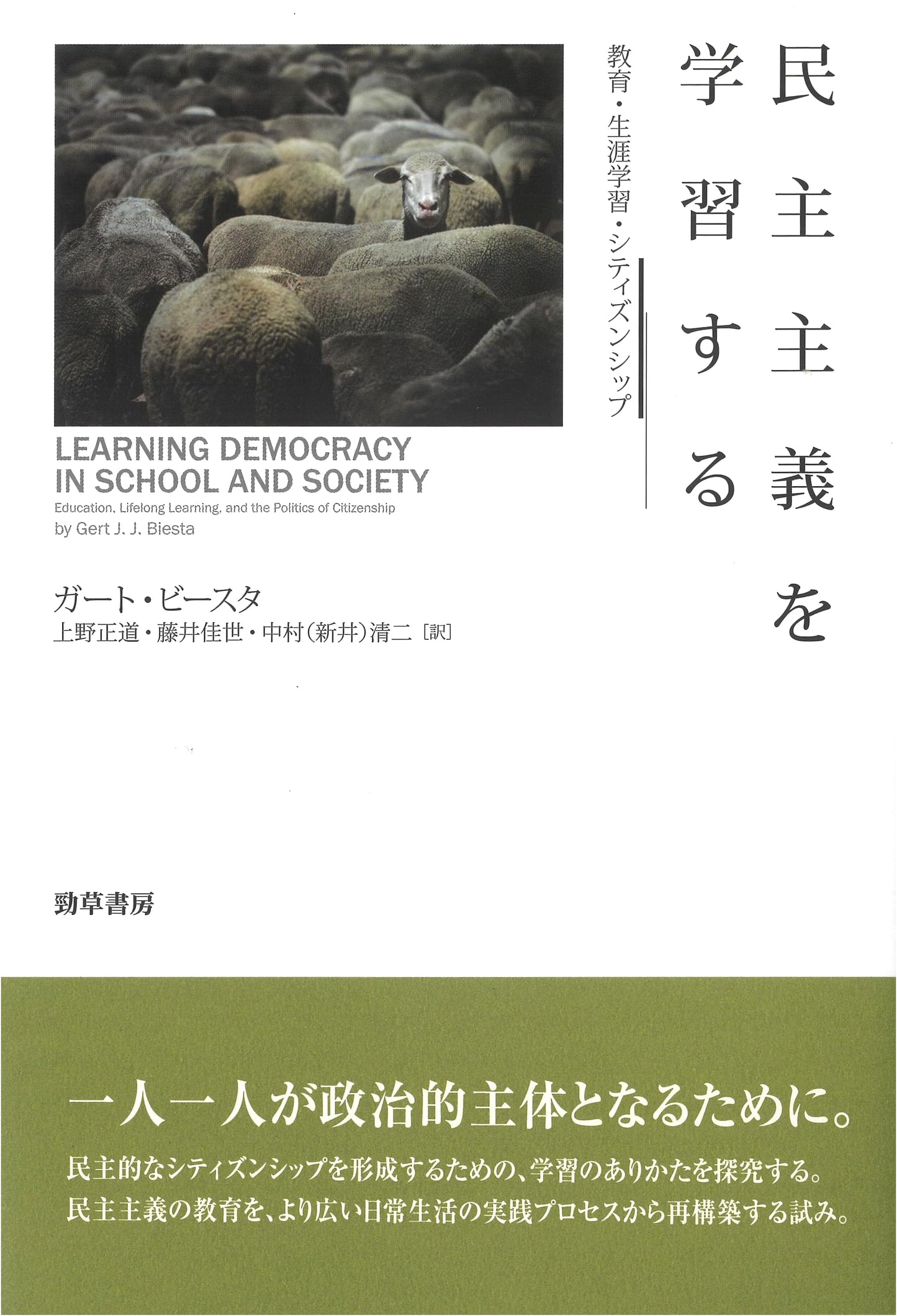 Learning Democracy: Education, Lifelong Learning, and Citizenship