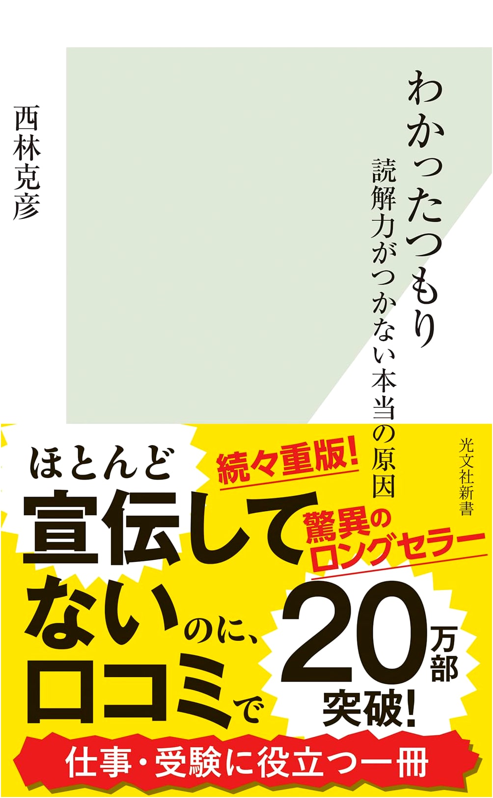Thinking You Understand: The Real Reason You Lack Reading Comprehension by Katsuhiko Nishibayashi