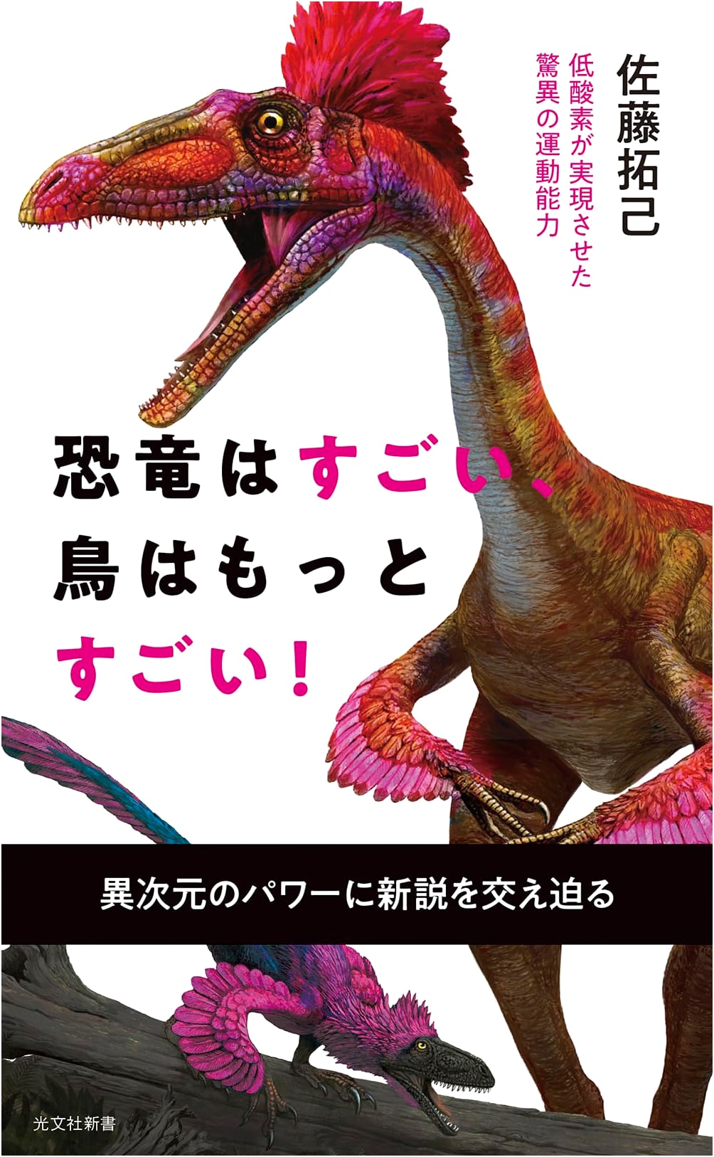 Dinosaurs are Amazing, Birds are More Amazing! The Wonders of Low-Oxygen Athleticism