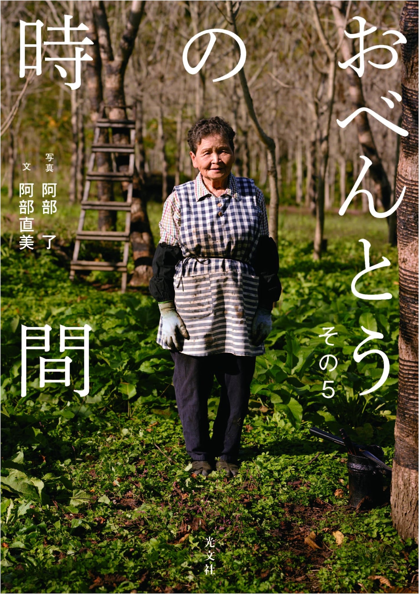 Obento no Jikan, Vol. 5: Bento Lunchbox Recipes by Naomi Abe