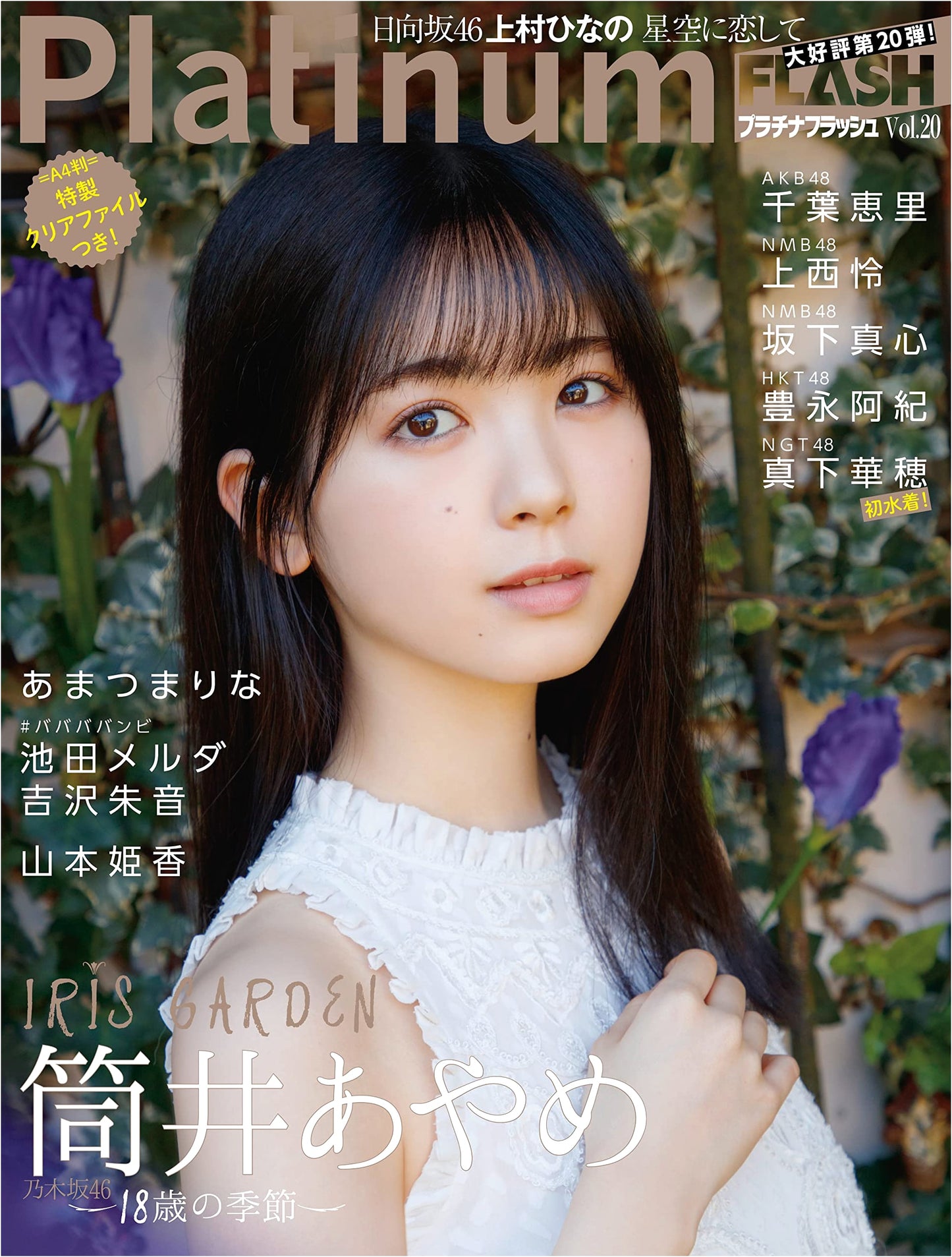 Platinum FLASH Vol. 20 (Kobunsha Books)