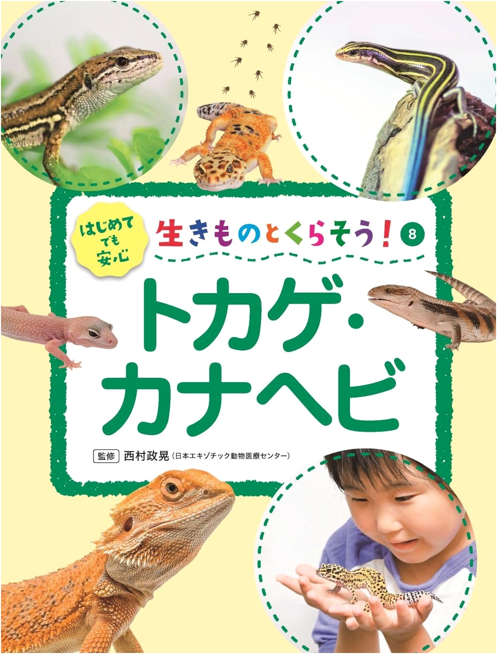 Lizards and Grass Lizards (Let's Live with Animals!)