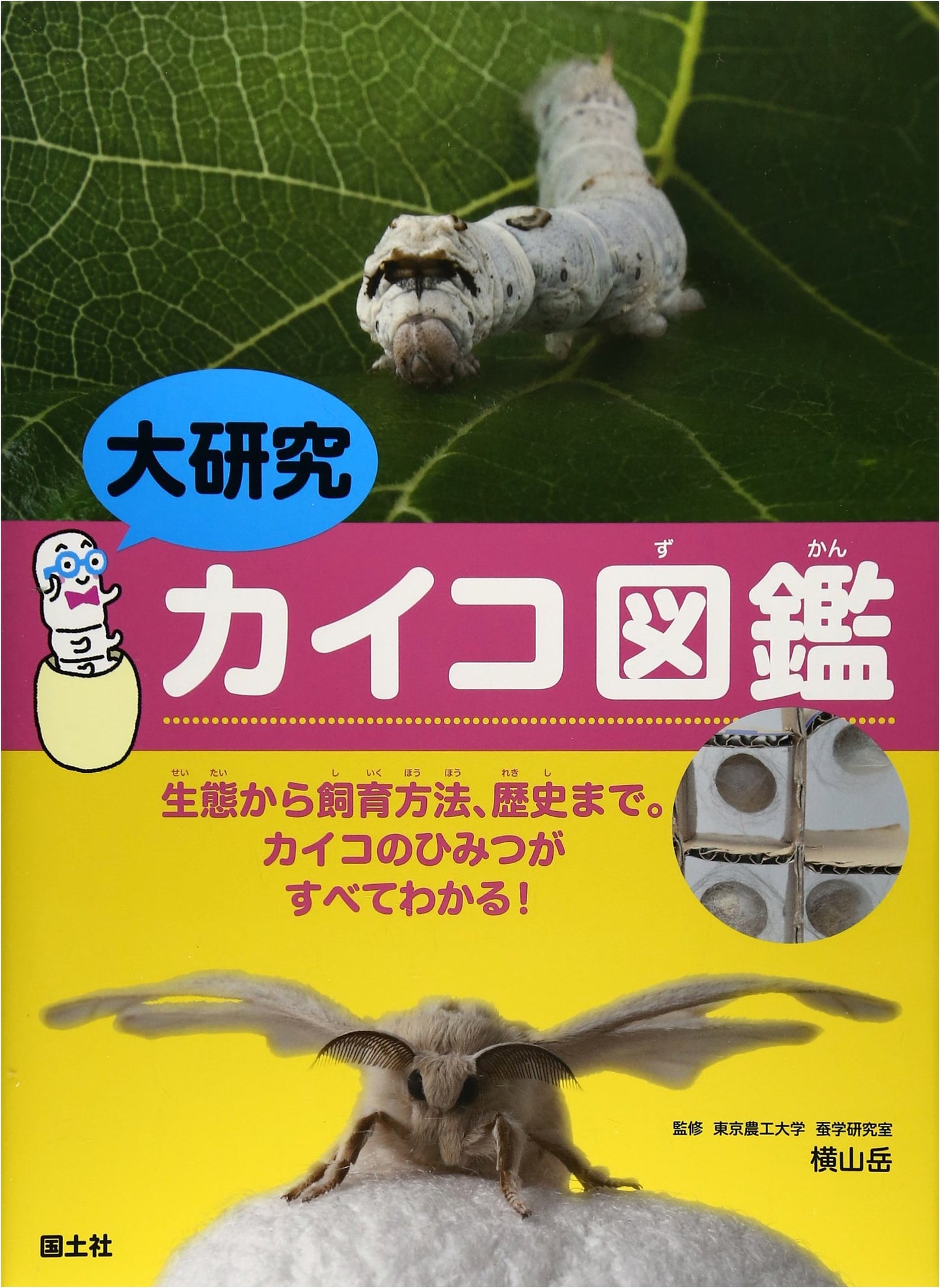 The Ultimate Silkworm Encyclopedia: Ecology, Rearing, History, and All Its Secrets Revealed!