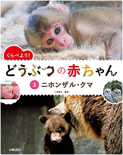 Comparing Animal Babies, Vol. 3: Japanese Macaques & Bears