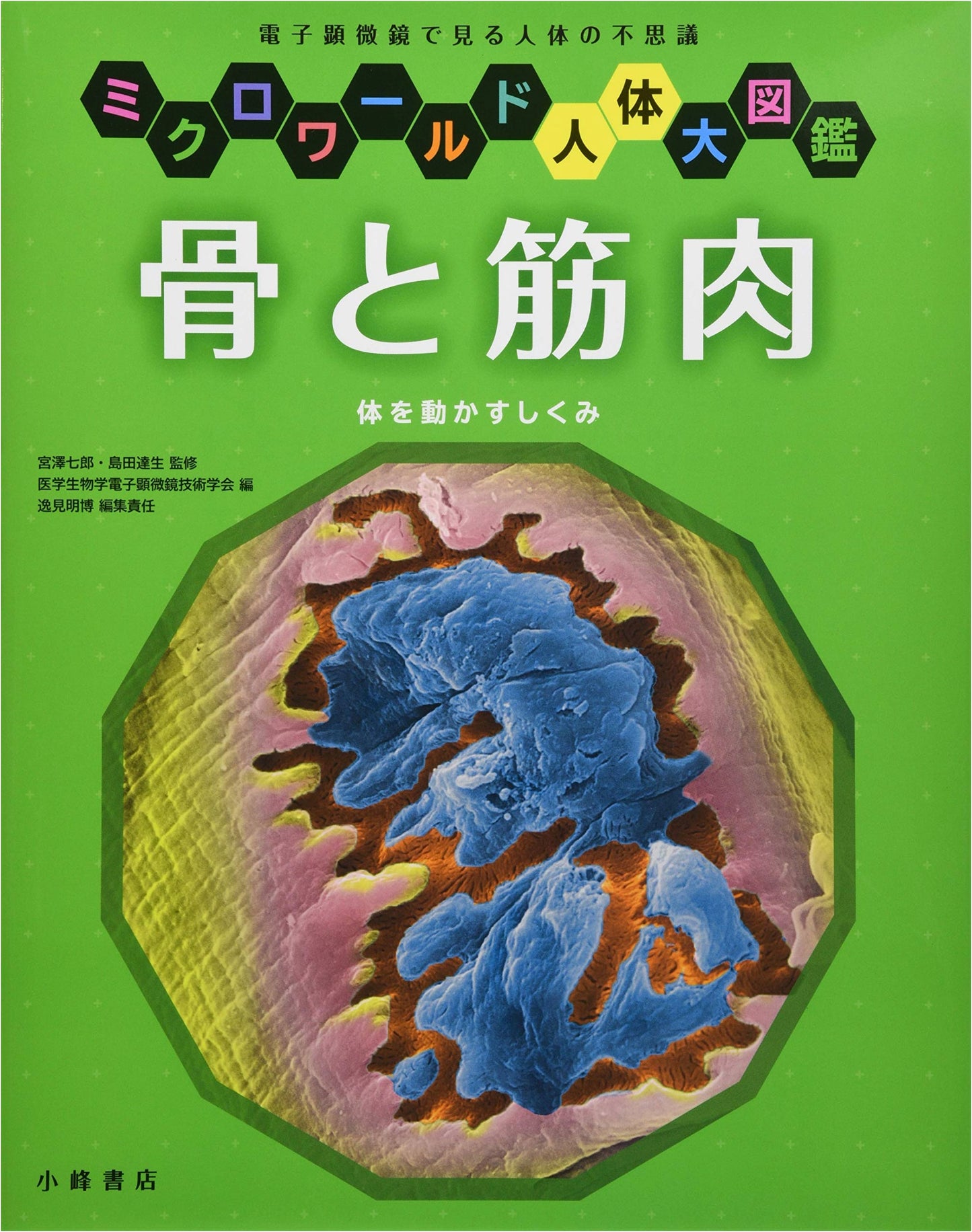 Bones and Muscles (Microworld Human Body Encyclopedia)