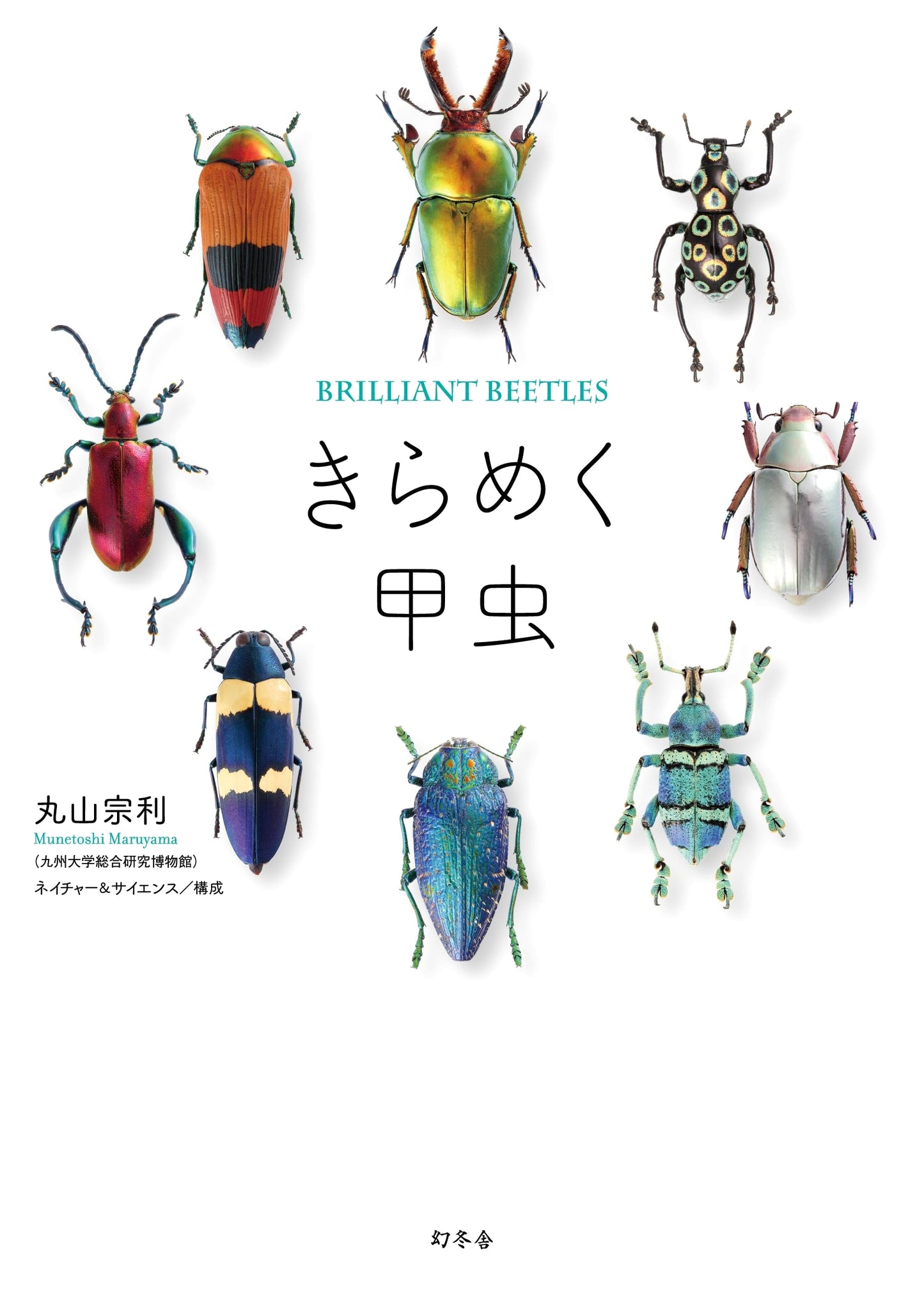 Sparkling Beetles
