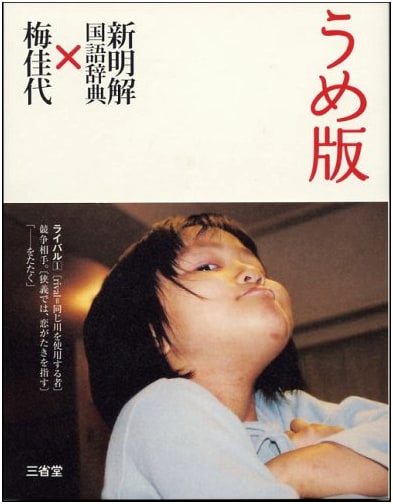 Ume-ban Shin Meikai Kokugo Jiten Japanese Dictionary