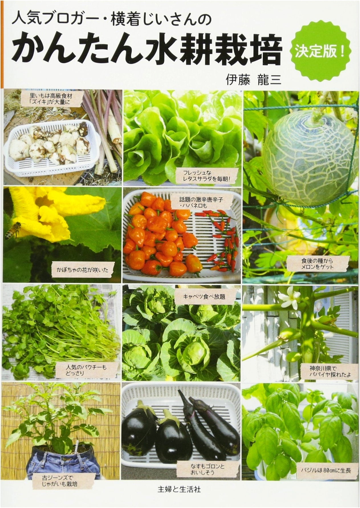 Hydroponics Made Easy: The Definitive Guide by Ryuzo Ito