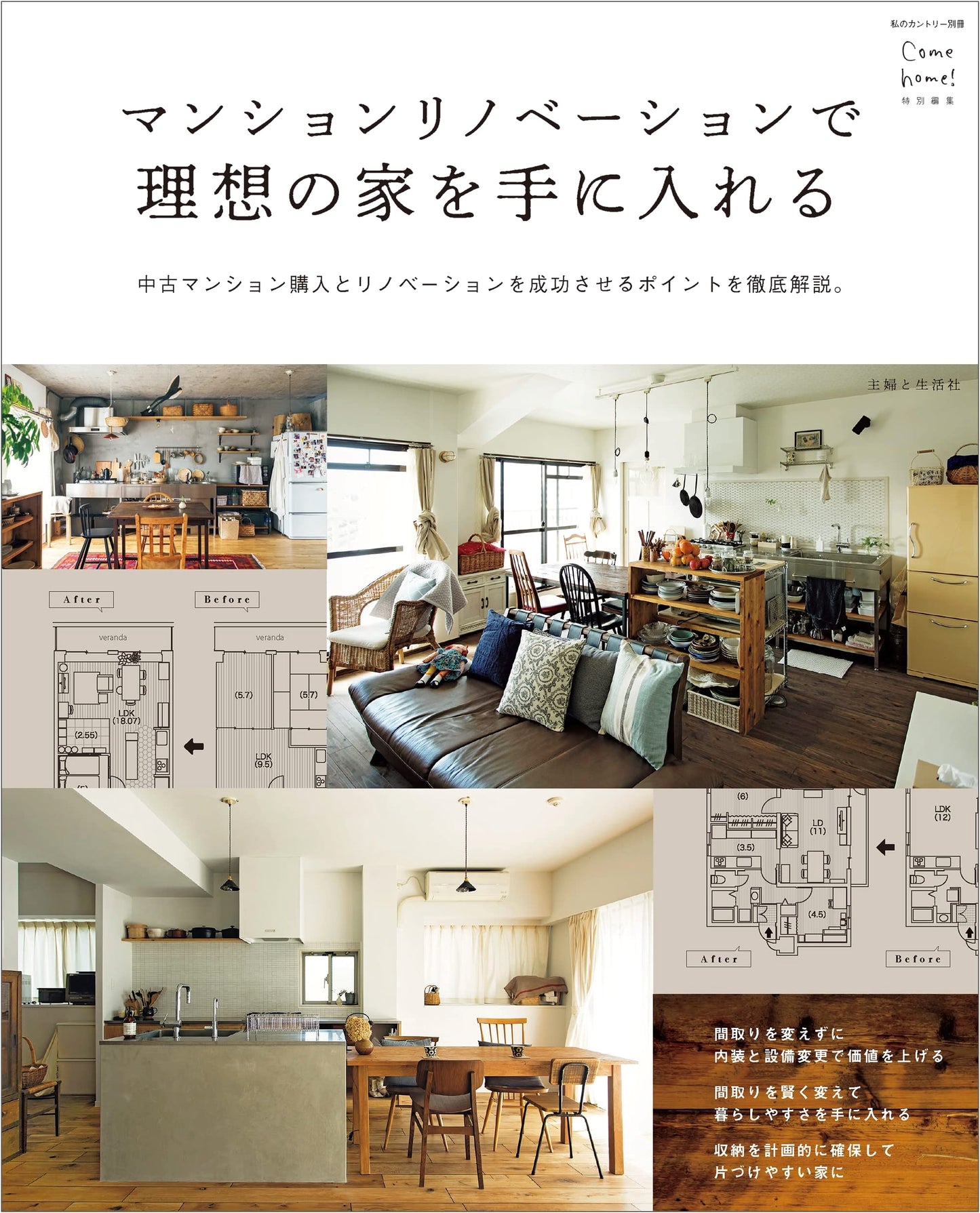 Achieve Your Dream Home: Apartment Renovation Guide (My Country Special)