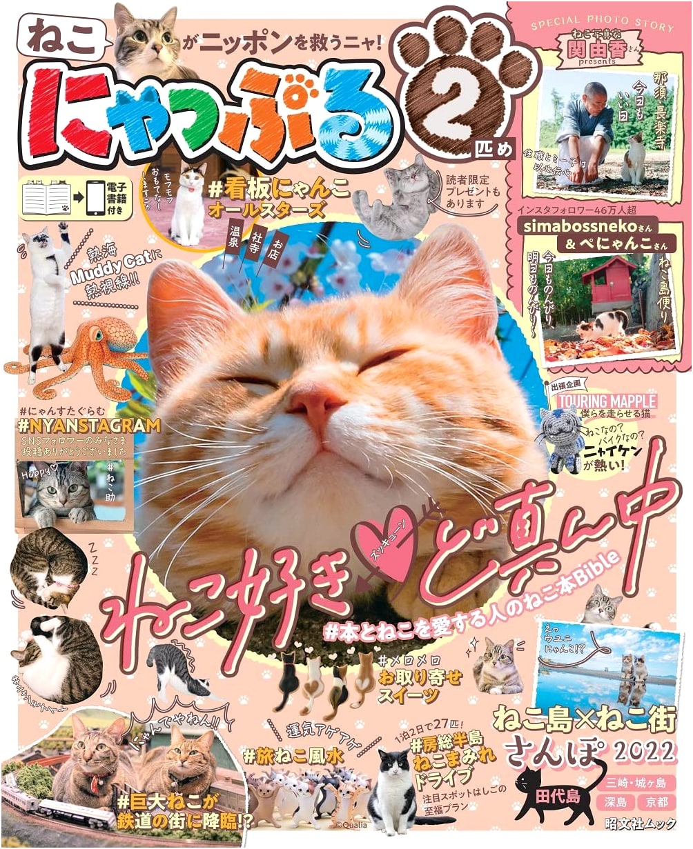 Nyapple: Volume 2 (Shobunsha Mook)