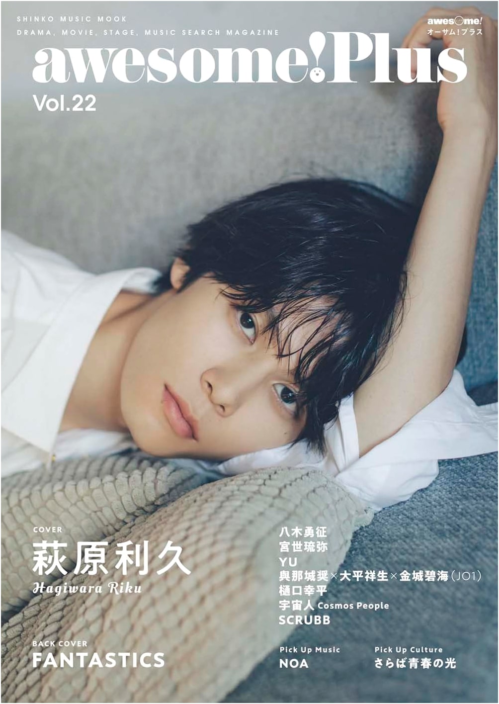 Awesome! Plus Vol. 22 (SHINKO MUSIC MOOK)