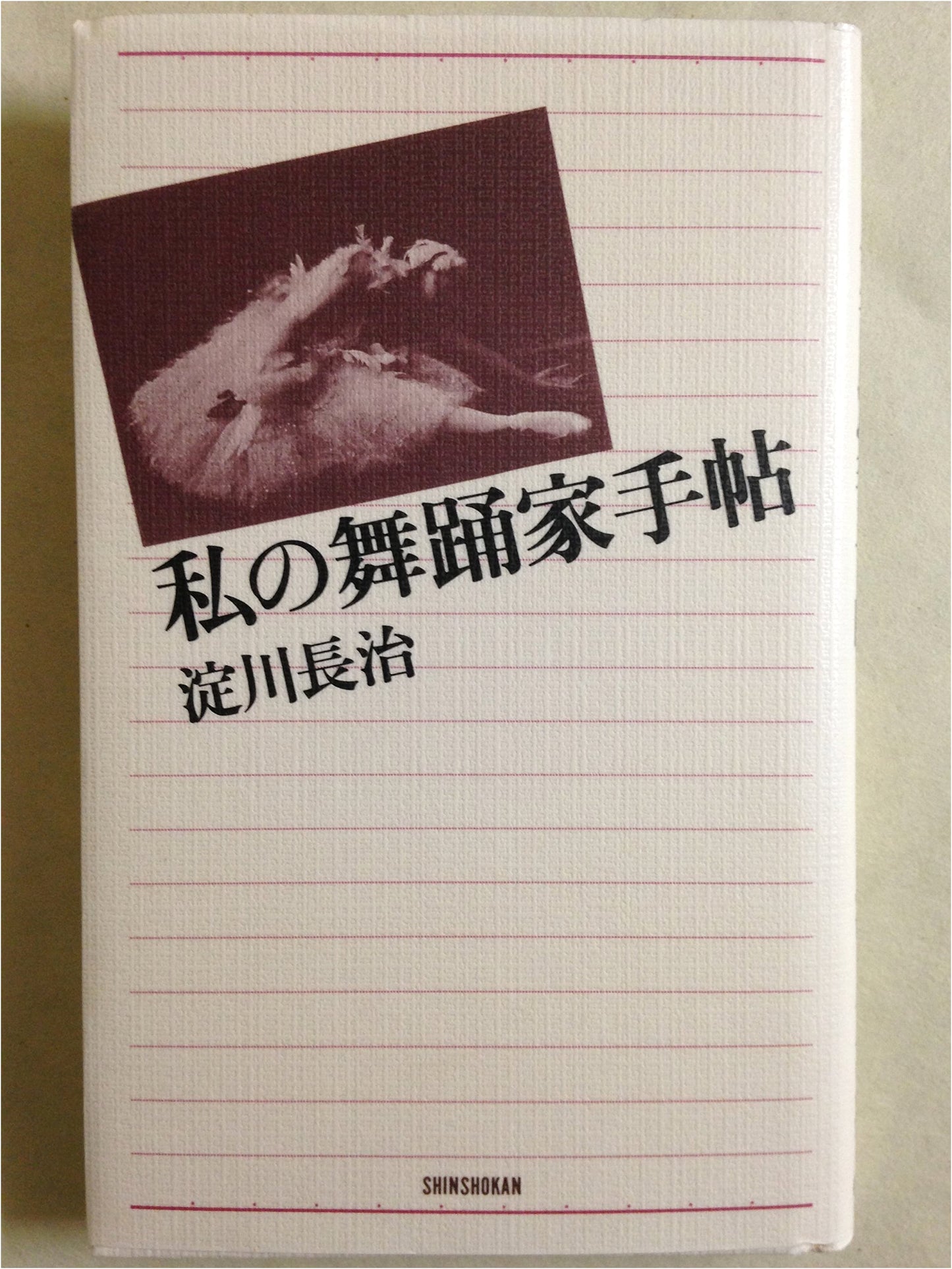 My Dancer's Notebook: A Chronicle of the Performing Arts
