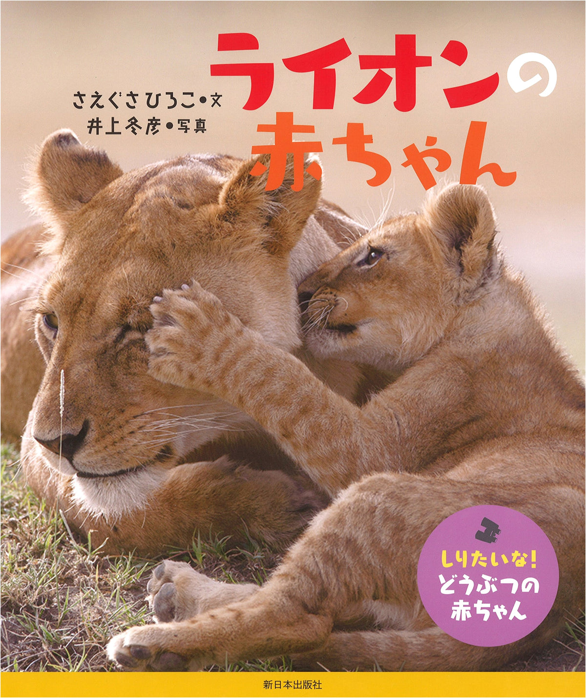 Baby Lion (I Want to Know! Baby Animals)