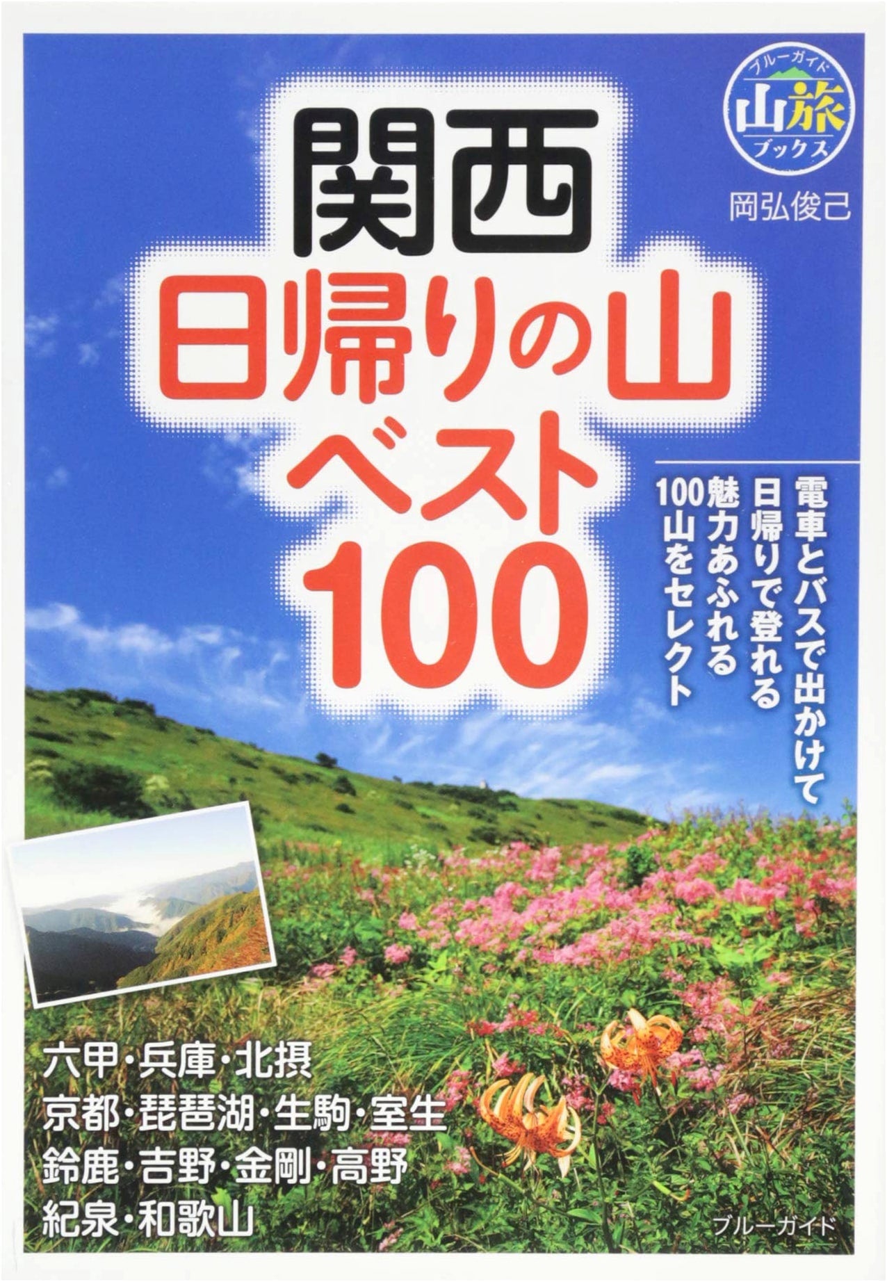 100 Best Day Hikes in Kansai (Blue Guide Mountain Travel Books)