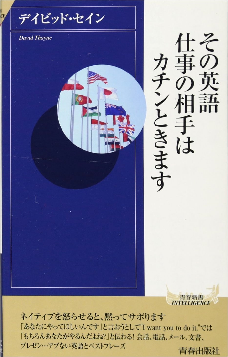 Your English: It Will Offend Your Business Partners (Seishun Shinsho Intelligence)