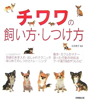 How to Raise and Train Your Chihuahua