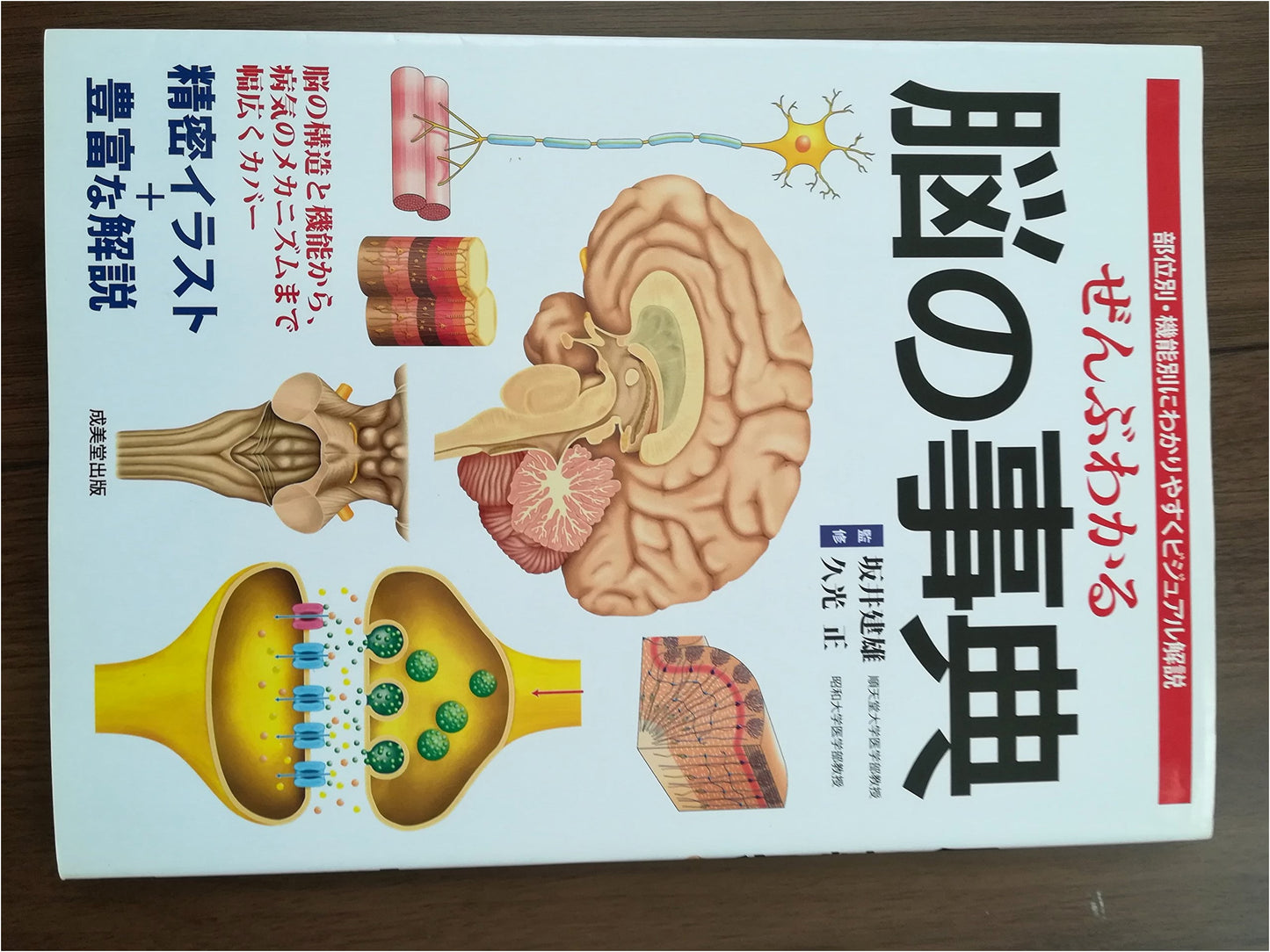 The Complete Visual Encyclopedia of the Brain: A Comprehensive Guide to Anatomy & Function