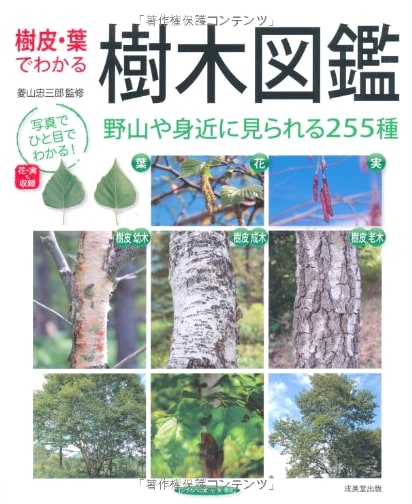 Illustrated Tree Guide: Identify by Bark and Leaves