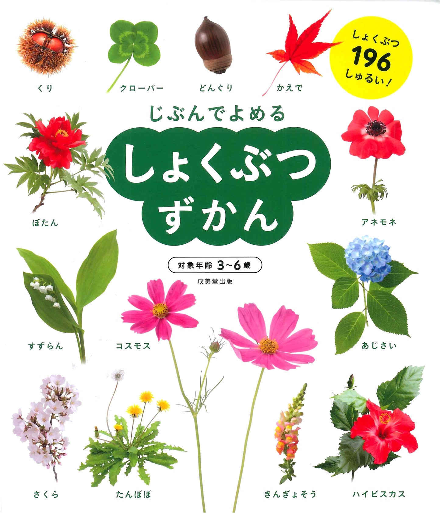 My First Illustrated Plant Book: Easy Japanese Reader