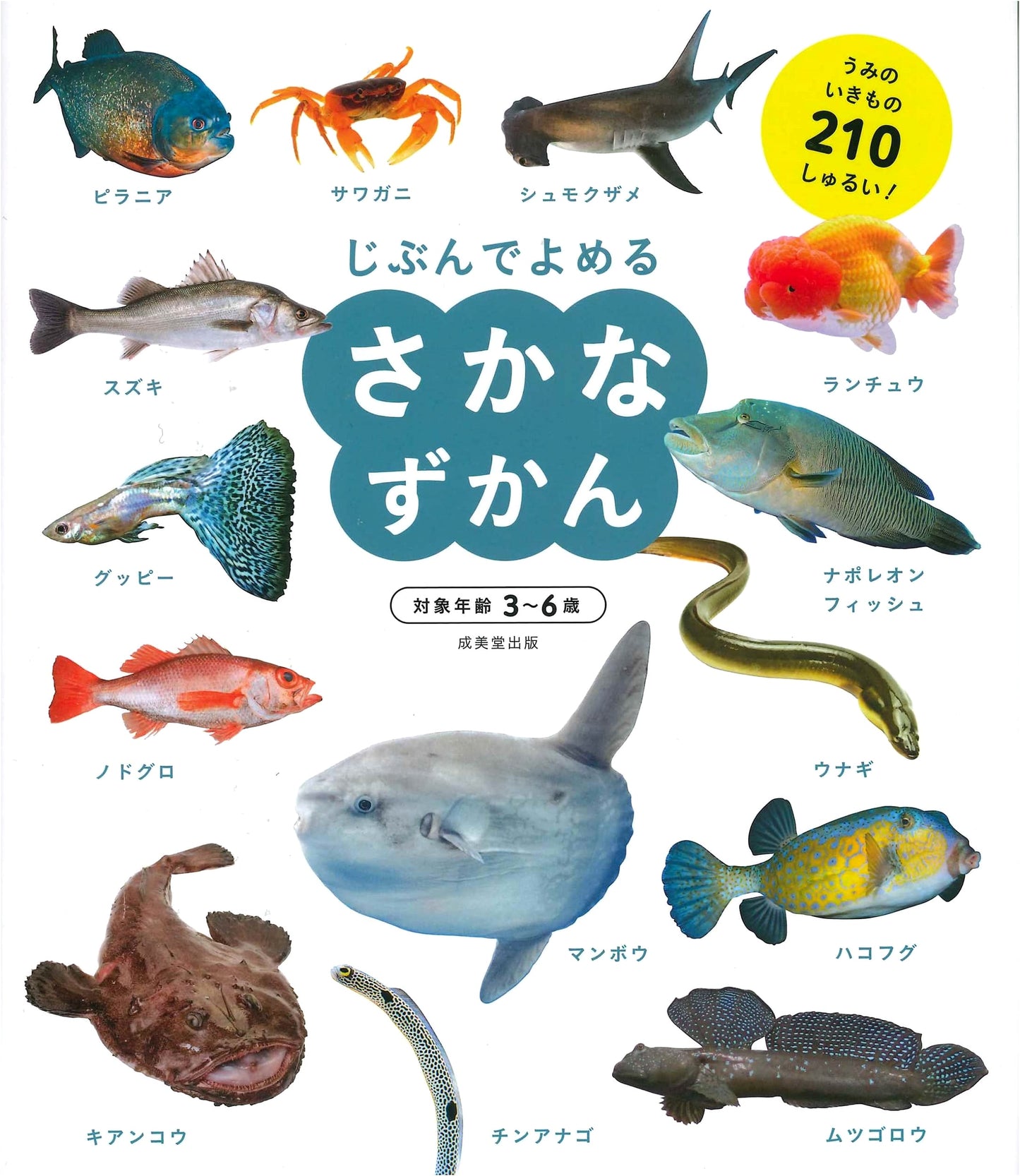 Picture Book of Fish: Read-It-Yourself Guide by Seibido Shuppan