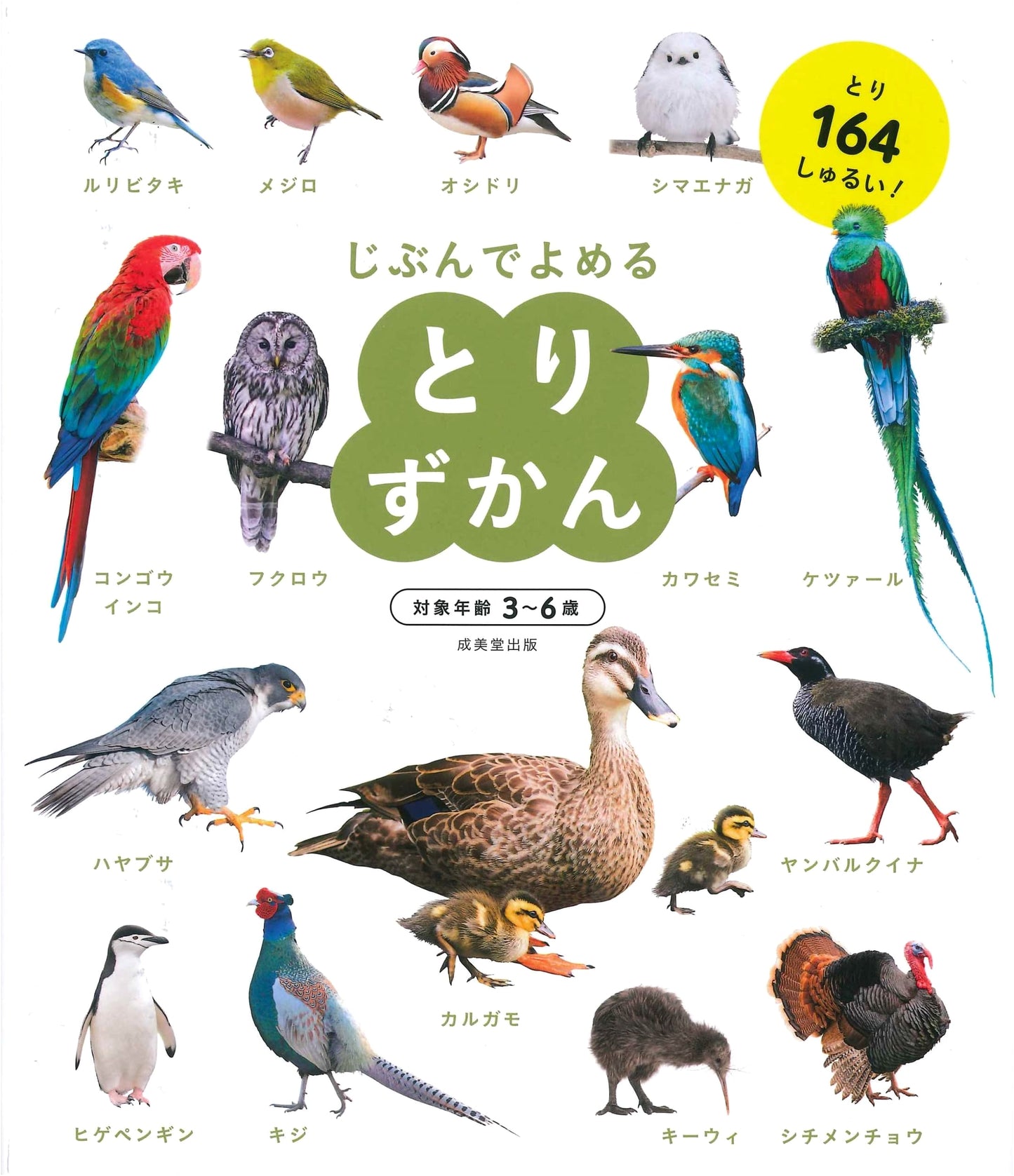 My Own Bird Encyclopedia: A Beginner's Guide to Birds