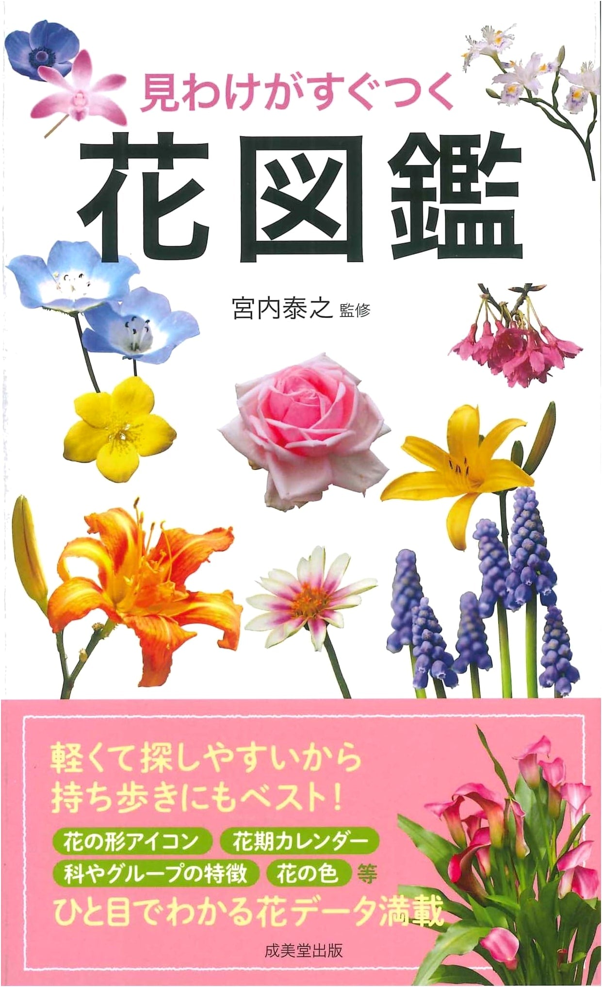 Quick-Find Illustrated Flower Identification Guide