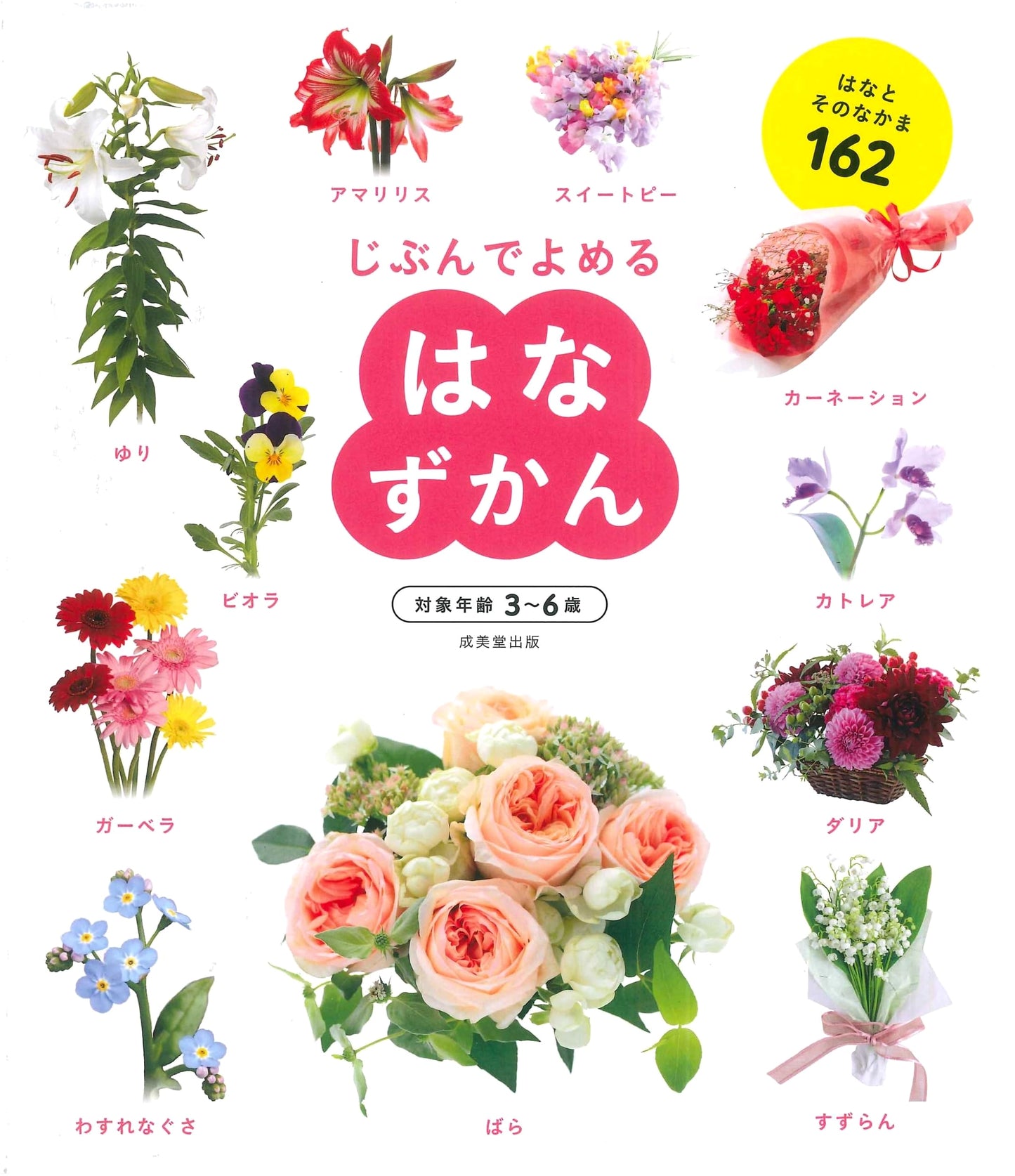 Illustrated Guide to Flowers: A Self-Reading Picture Book